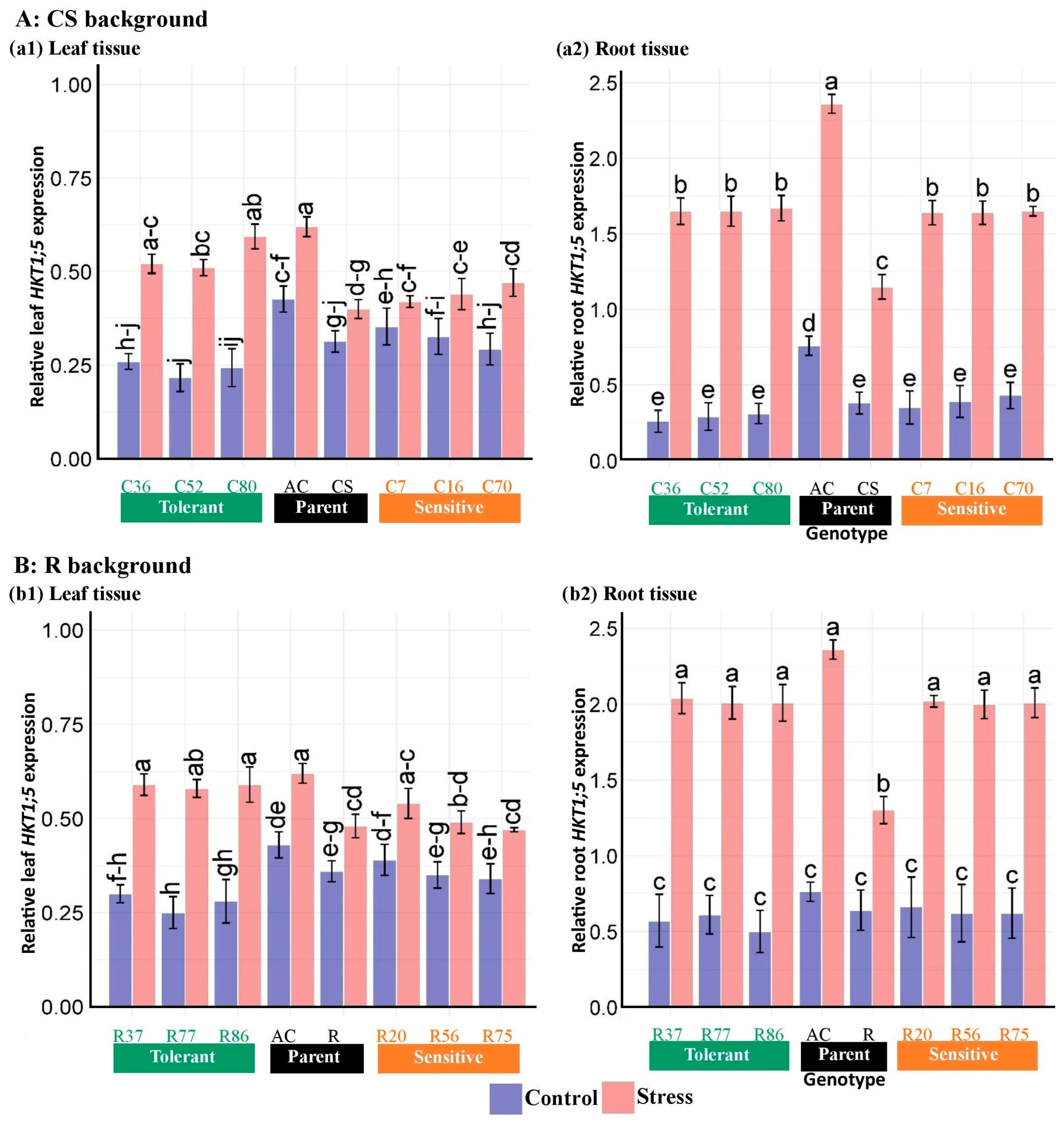 Plants 13 02673 g009