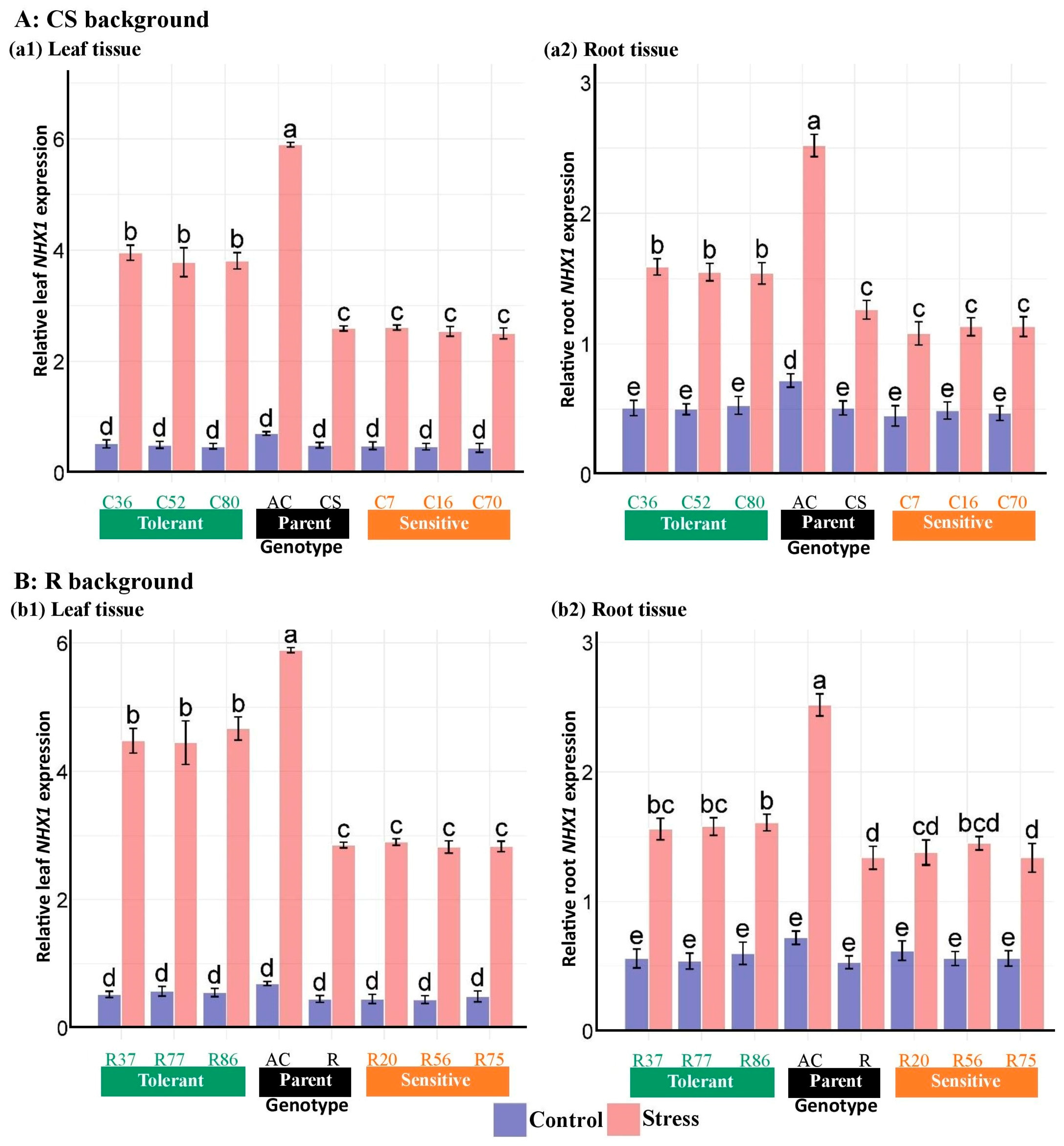 Plants 13 02673 g010