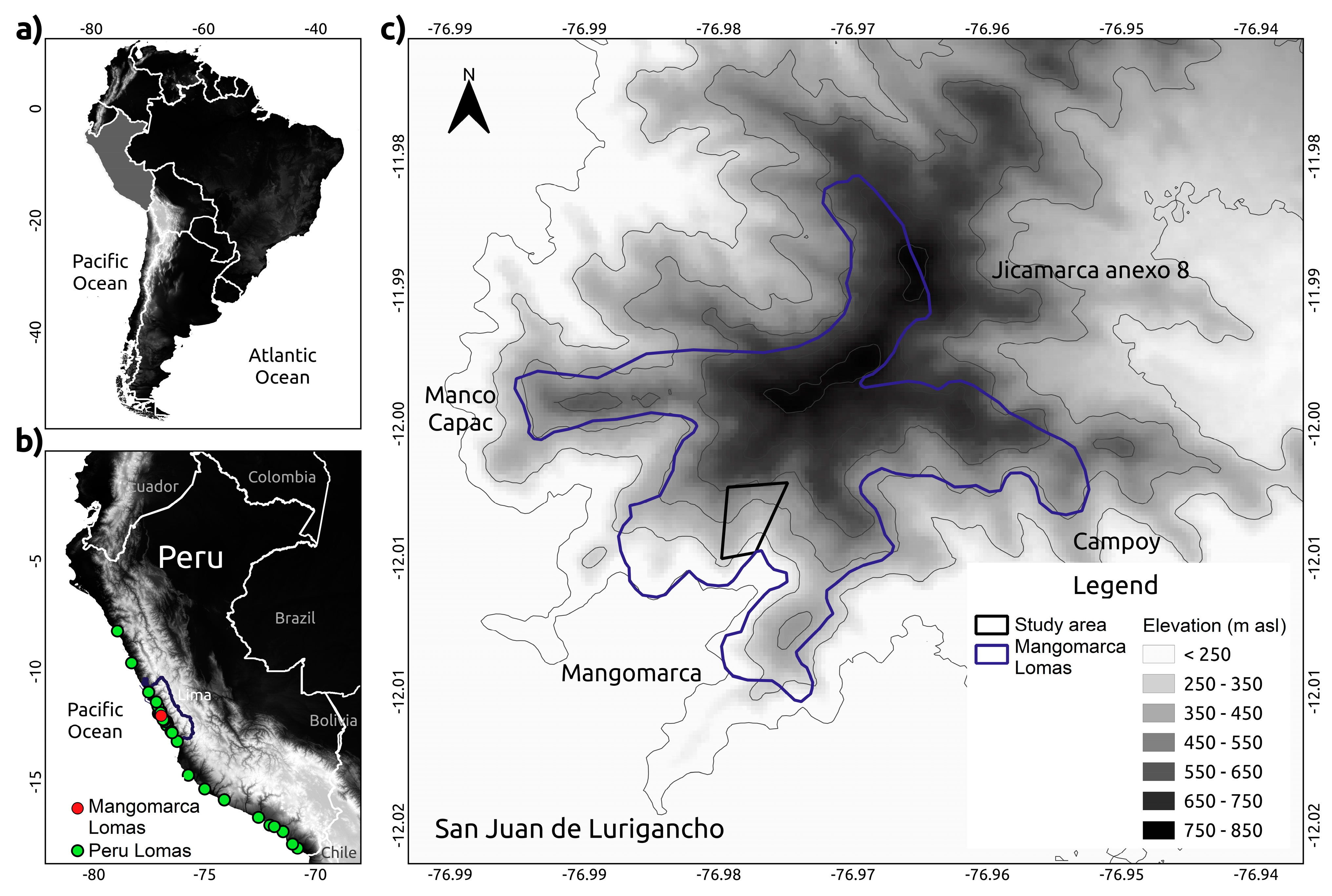 Plants 13 02683 g006