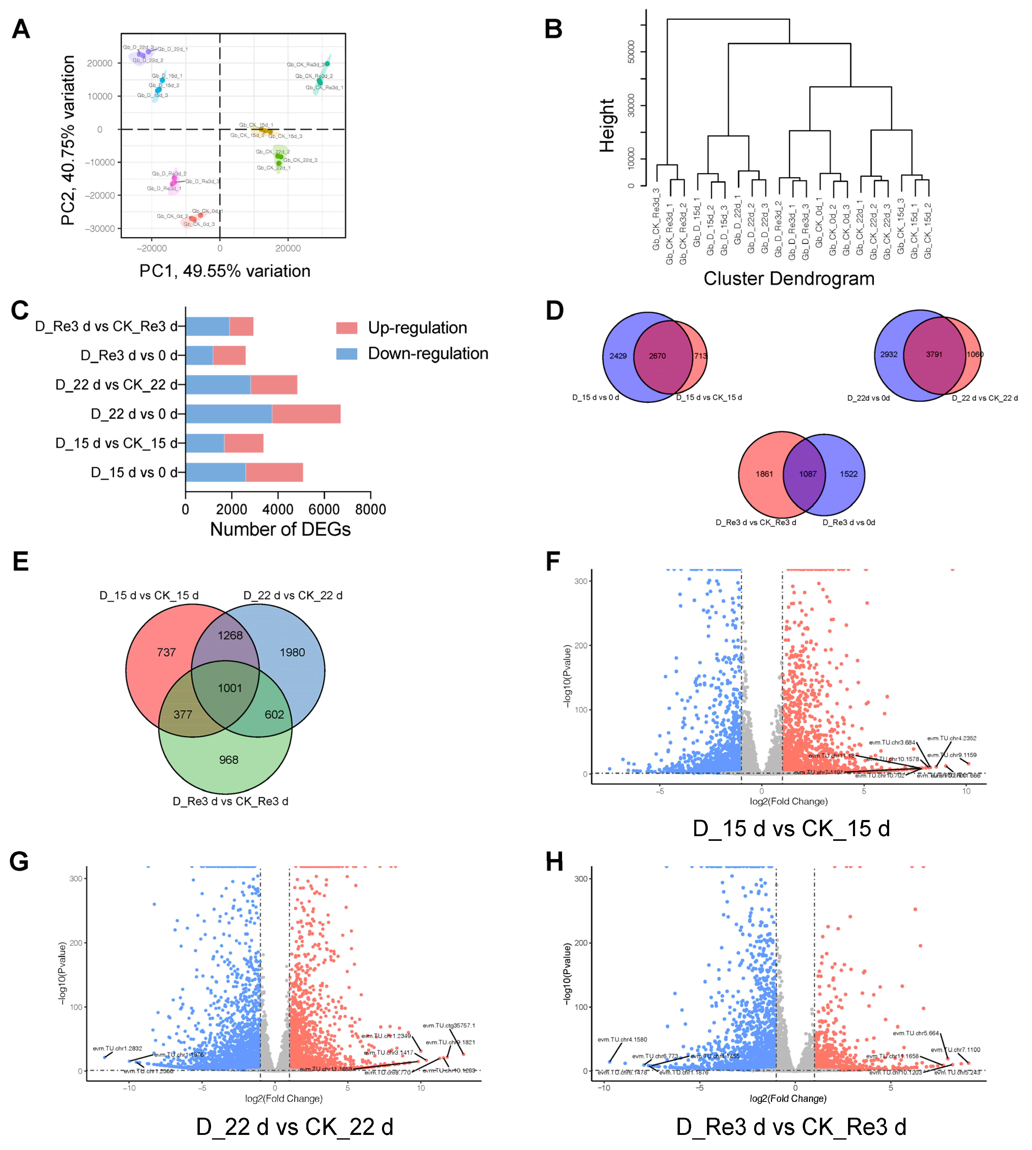 Plants 13 02685 g002