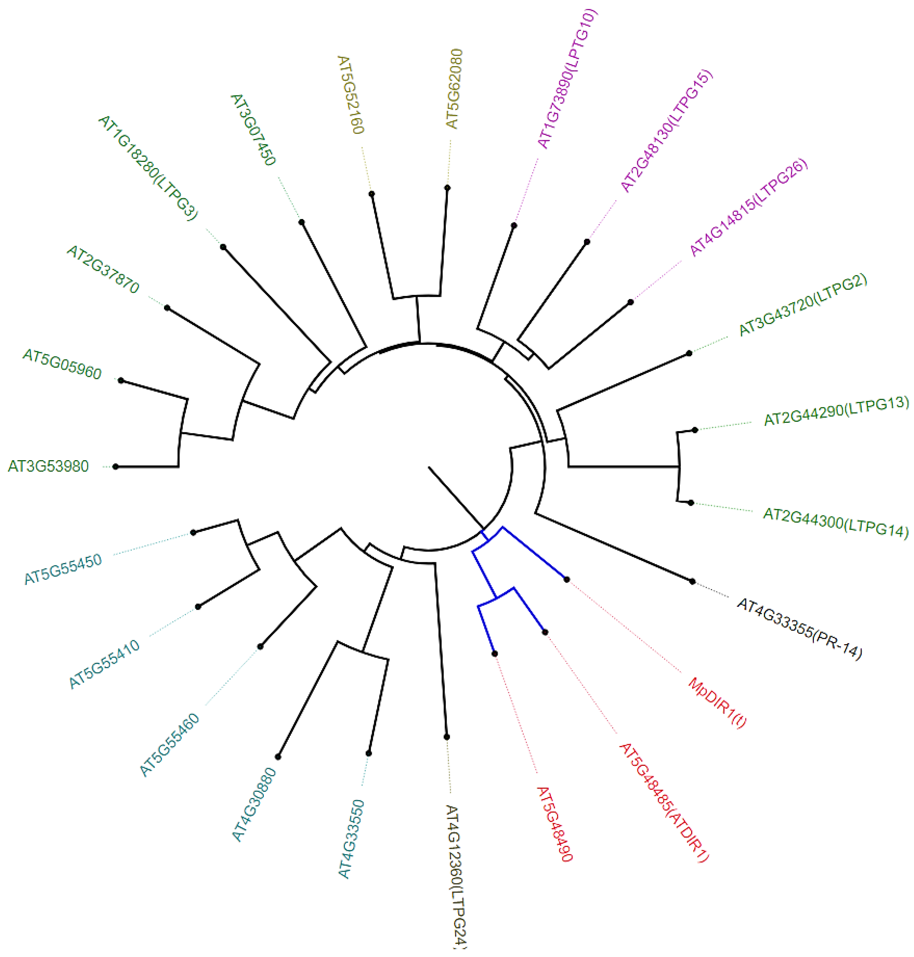 Plants 13 02692 g002