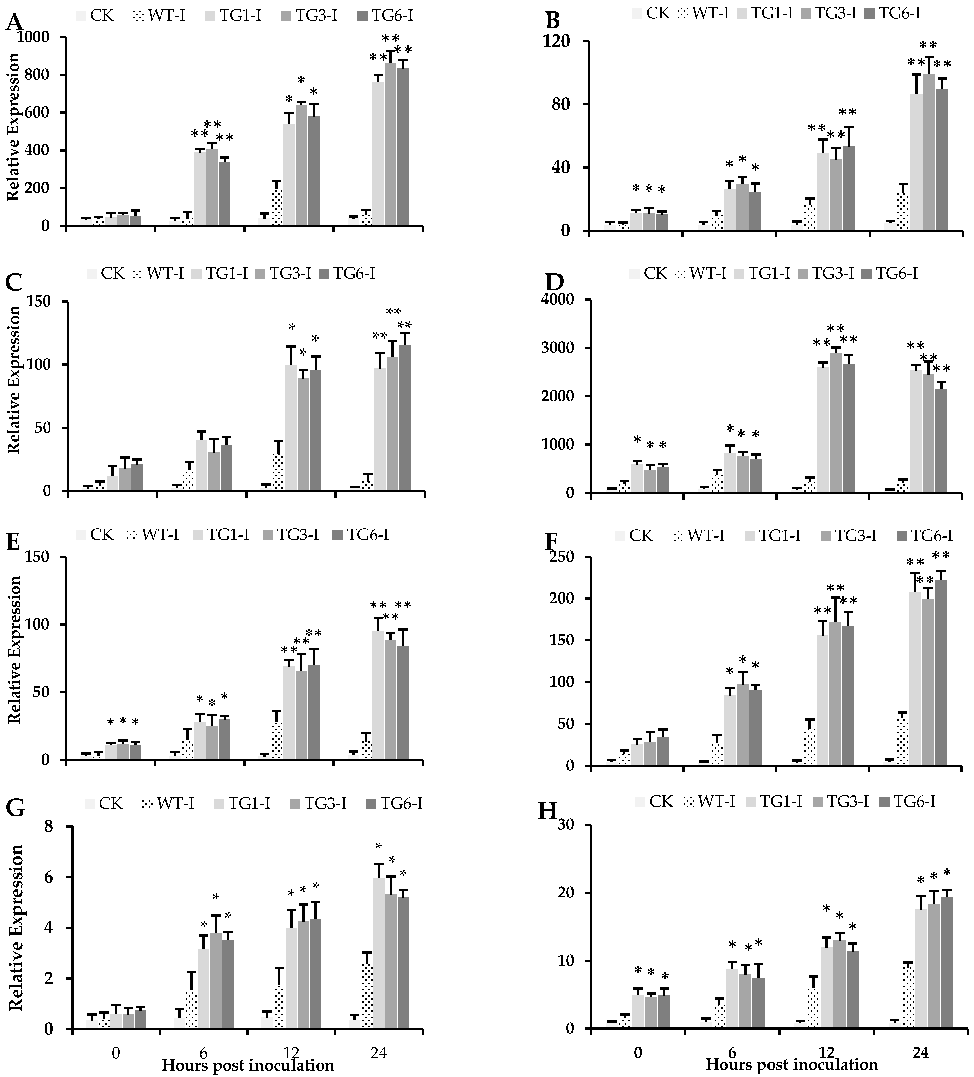 Plants 13 02692 g004