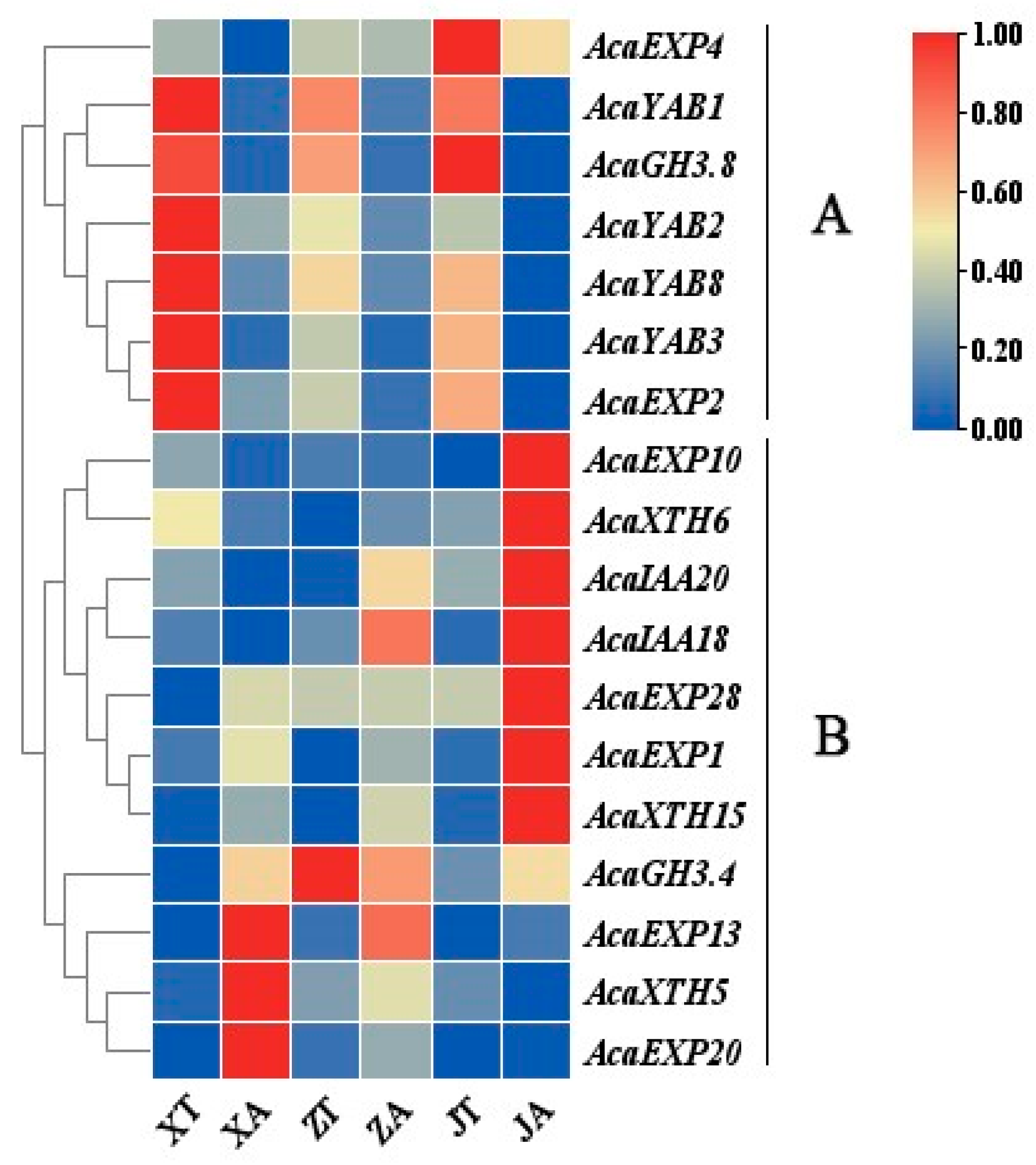 Plants 13 02696 g007