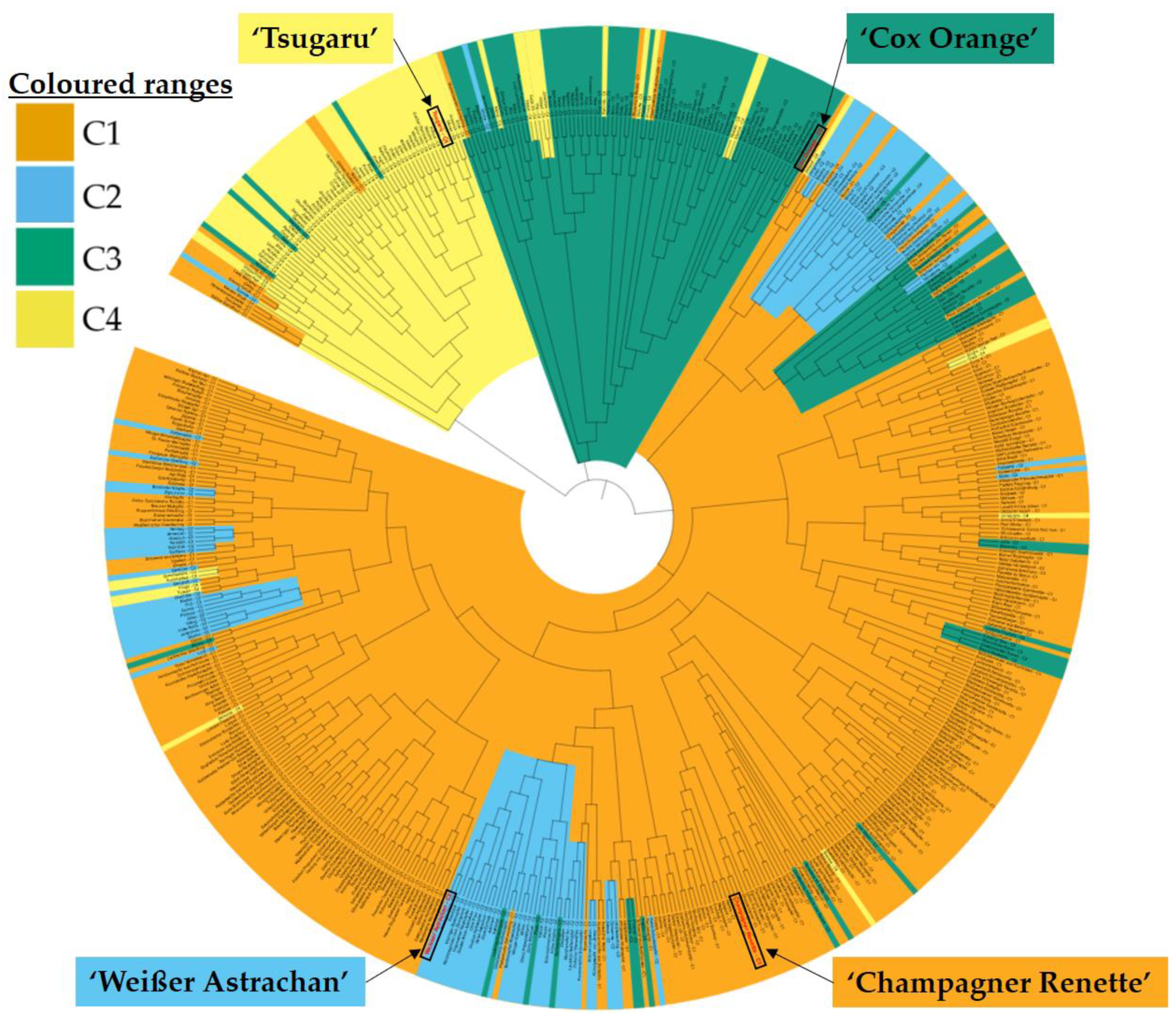 Plants 13 02699 g004