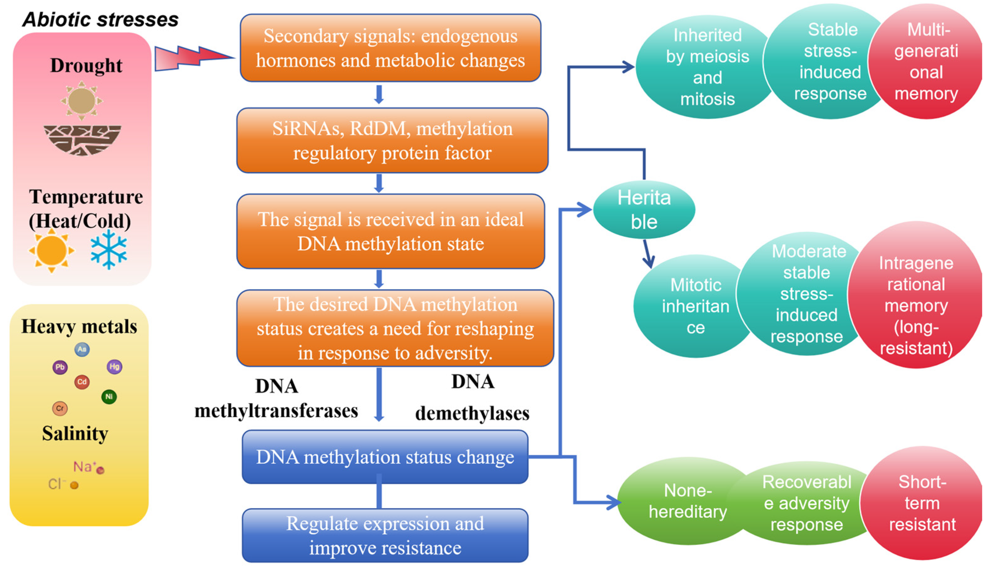 Plants 13 02700 g004