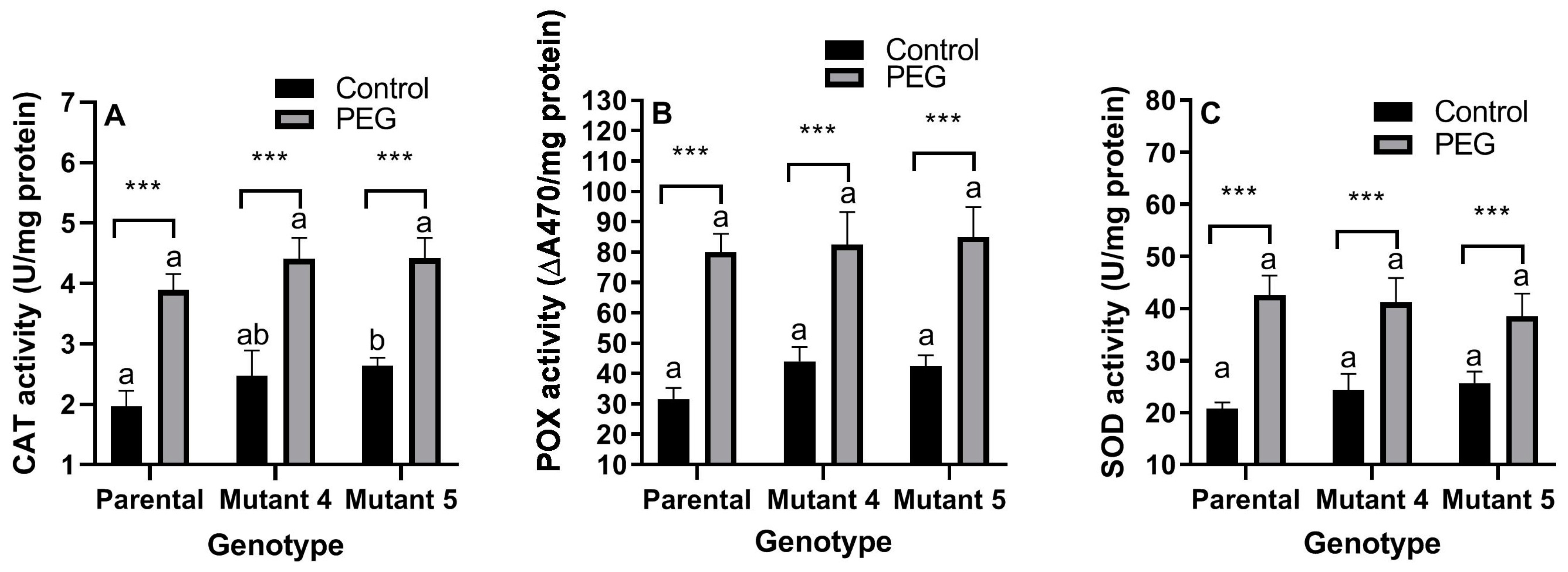 Plants 13 02702 g002