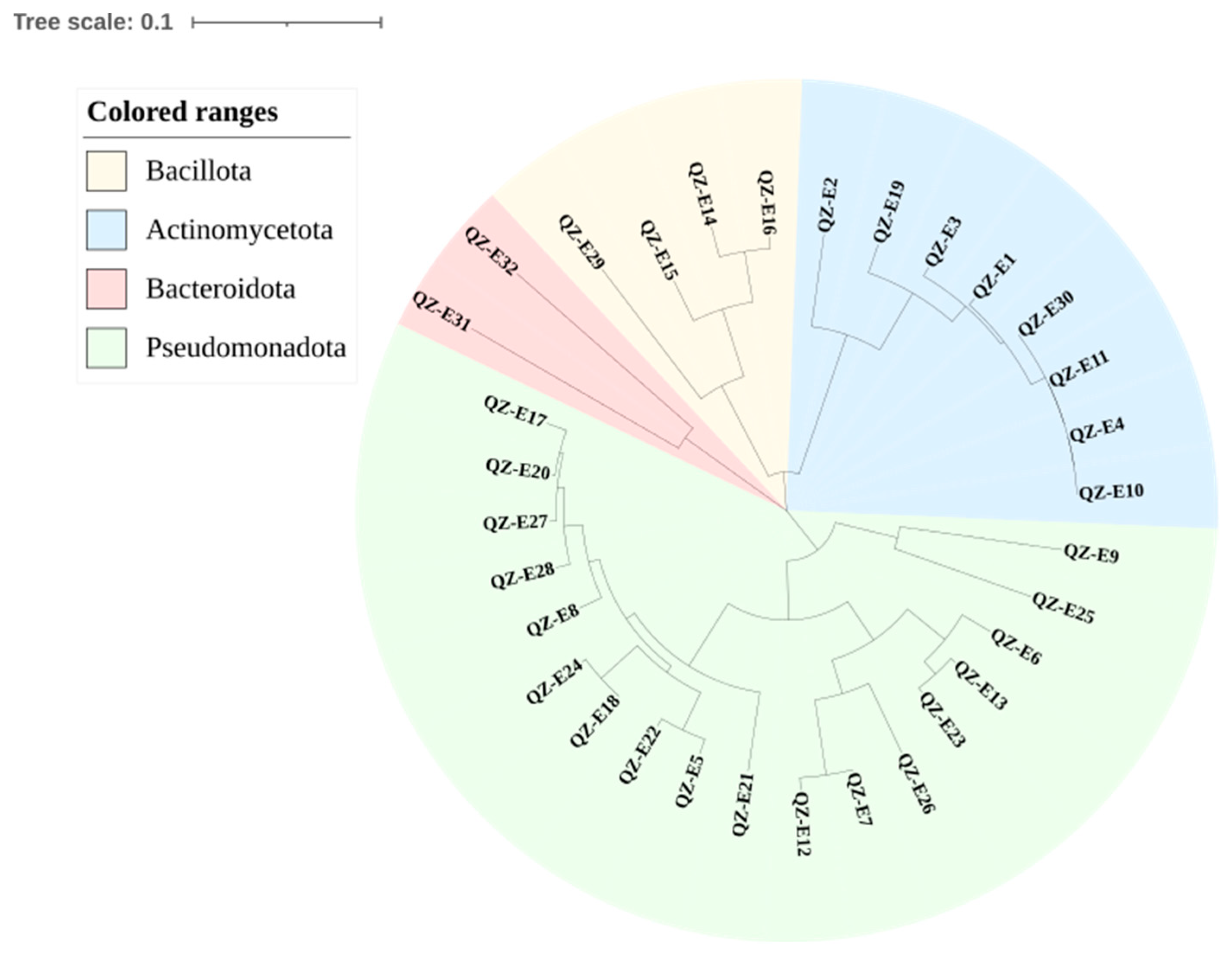 Plants 13 02703 g001