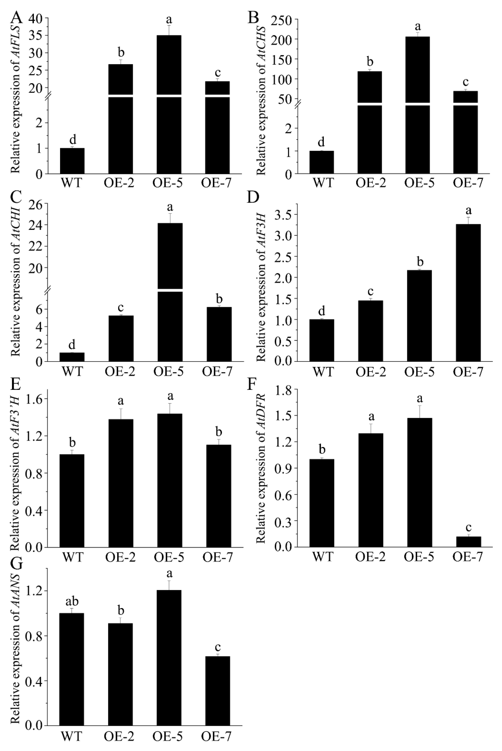 Plants 13 02704 g006