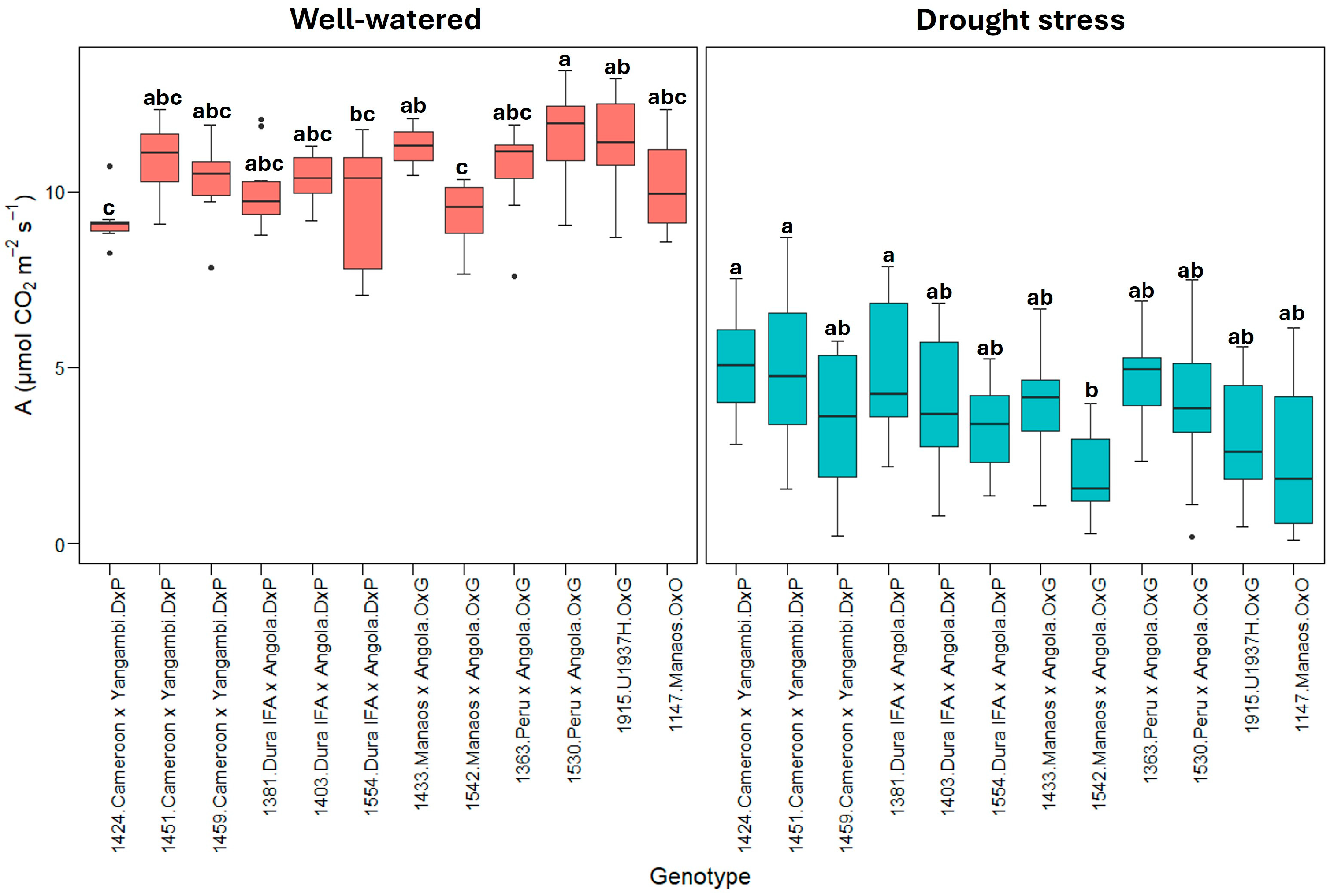 Plants 13 02705 g001