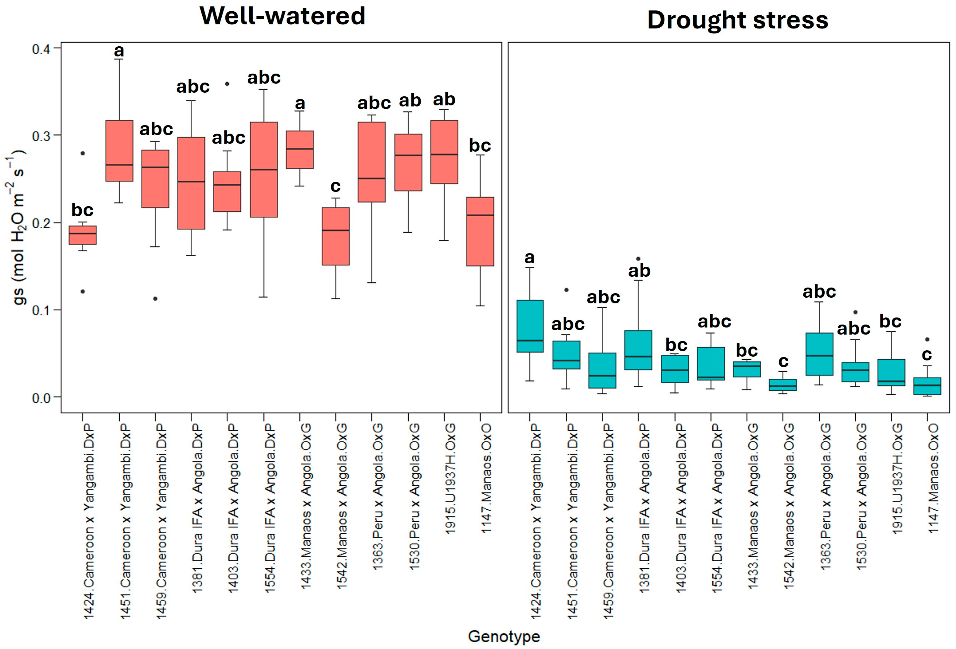 Plants 13 02705 g003