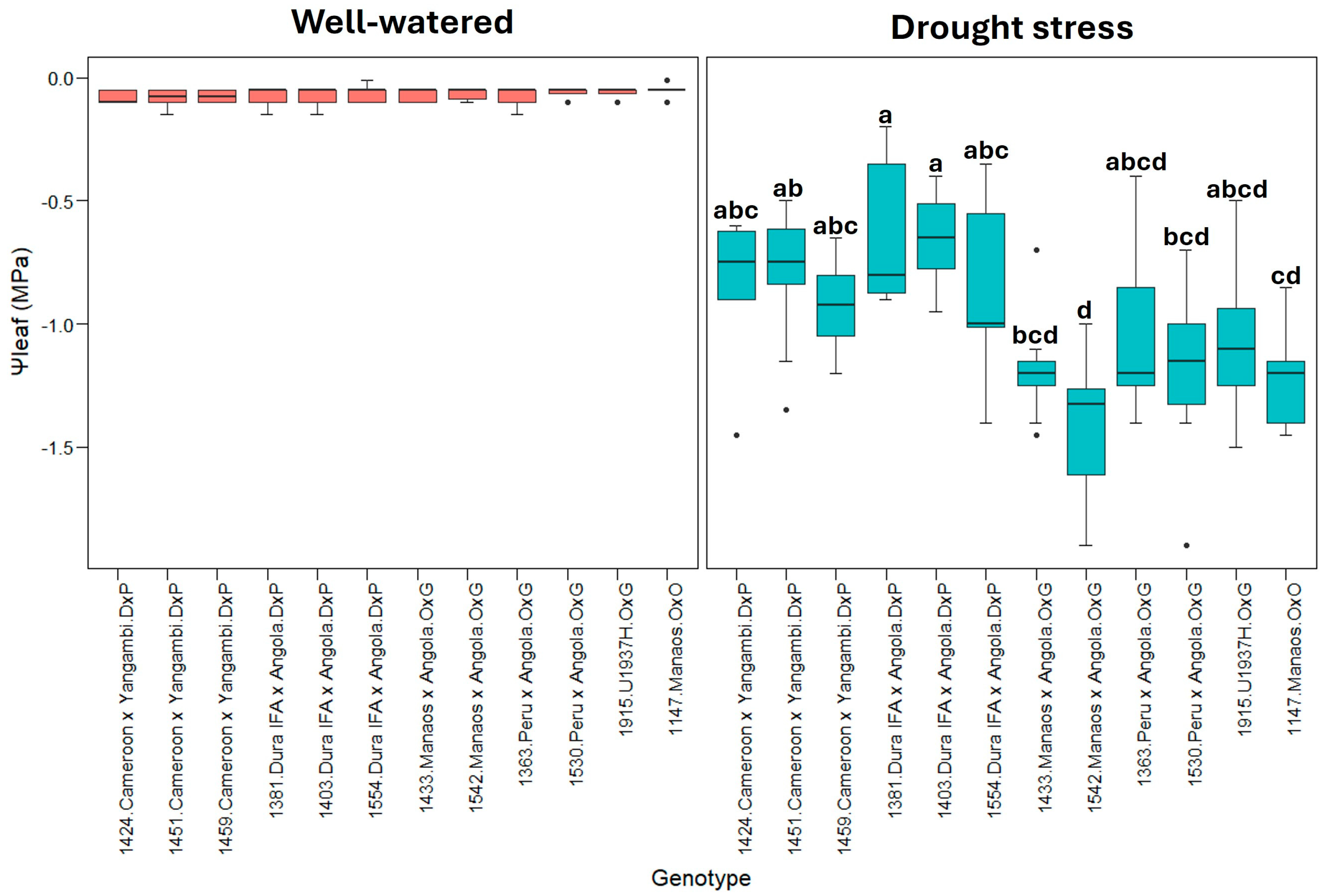 Plants 13 02705 g006