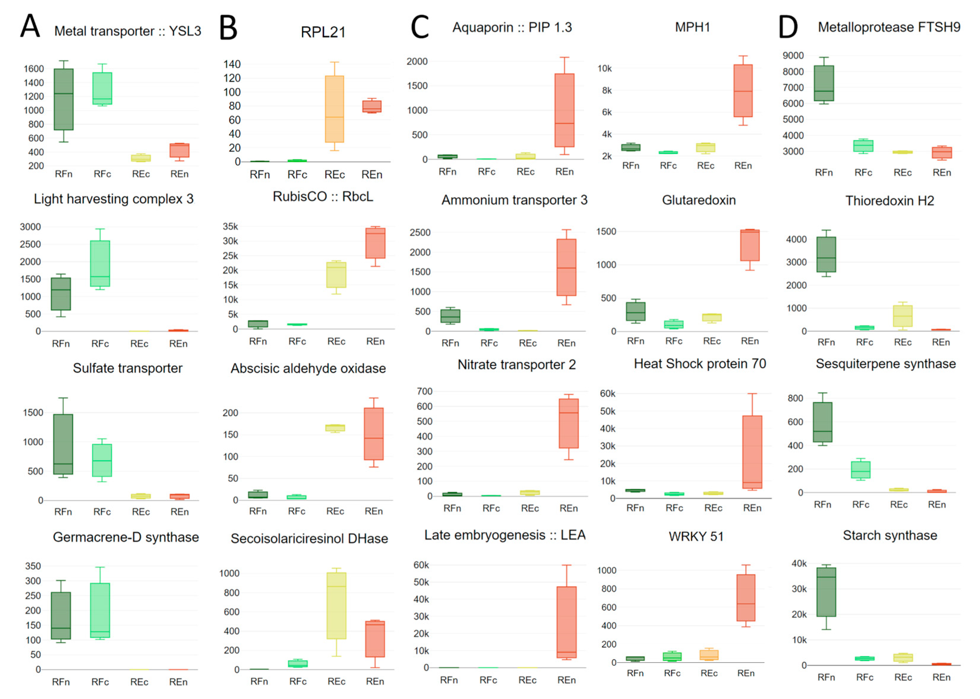 Plants 13 02719 g004