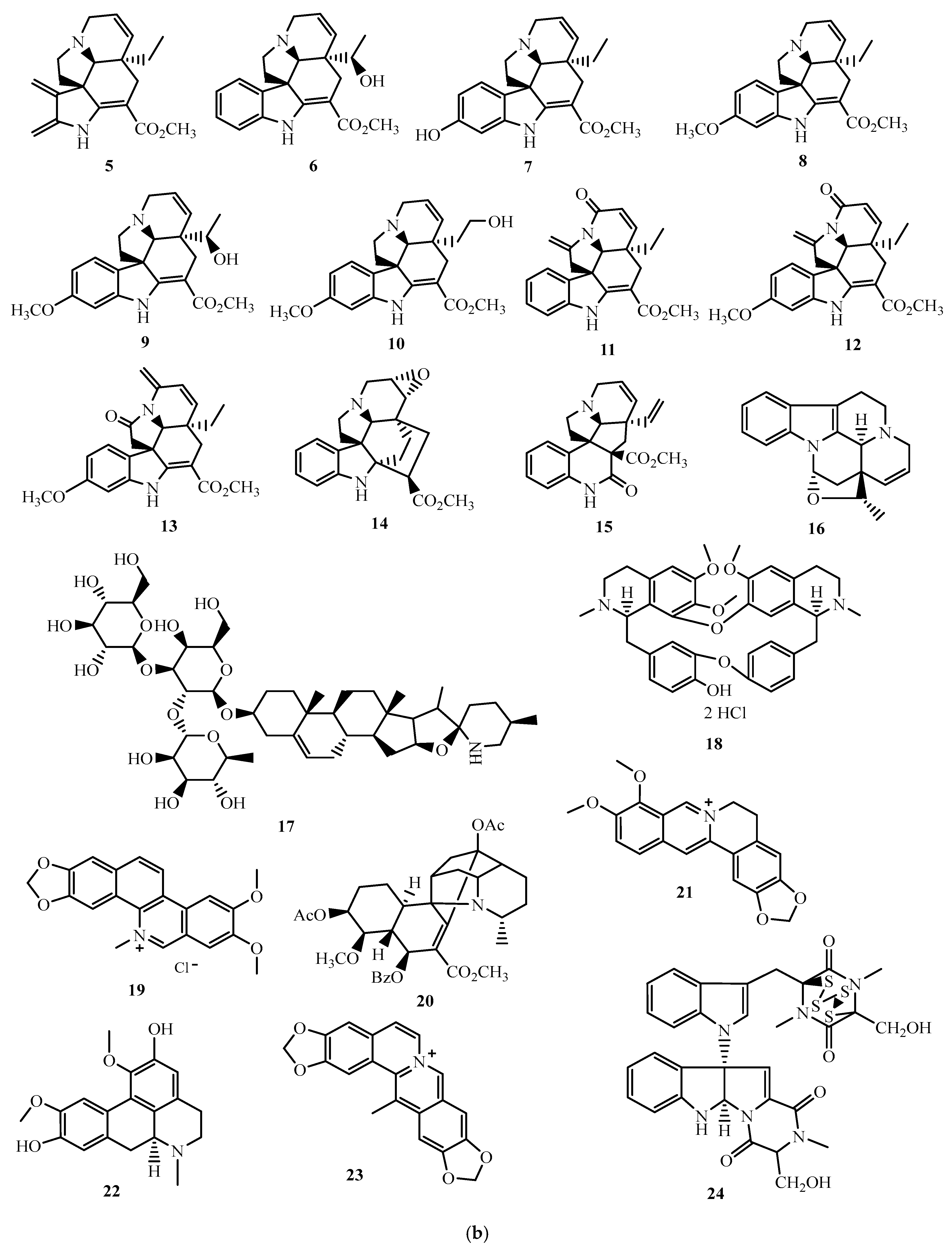 Plants 13 02723 g002b