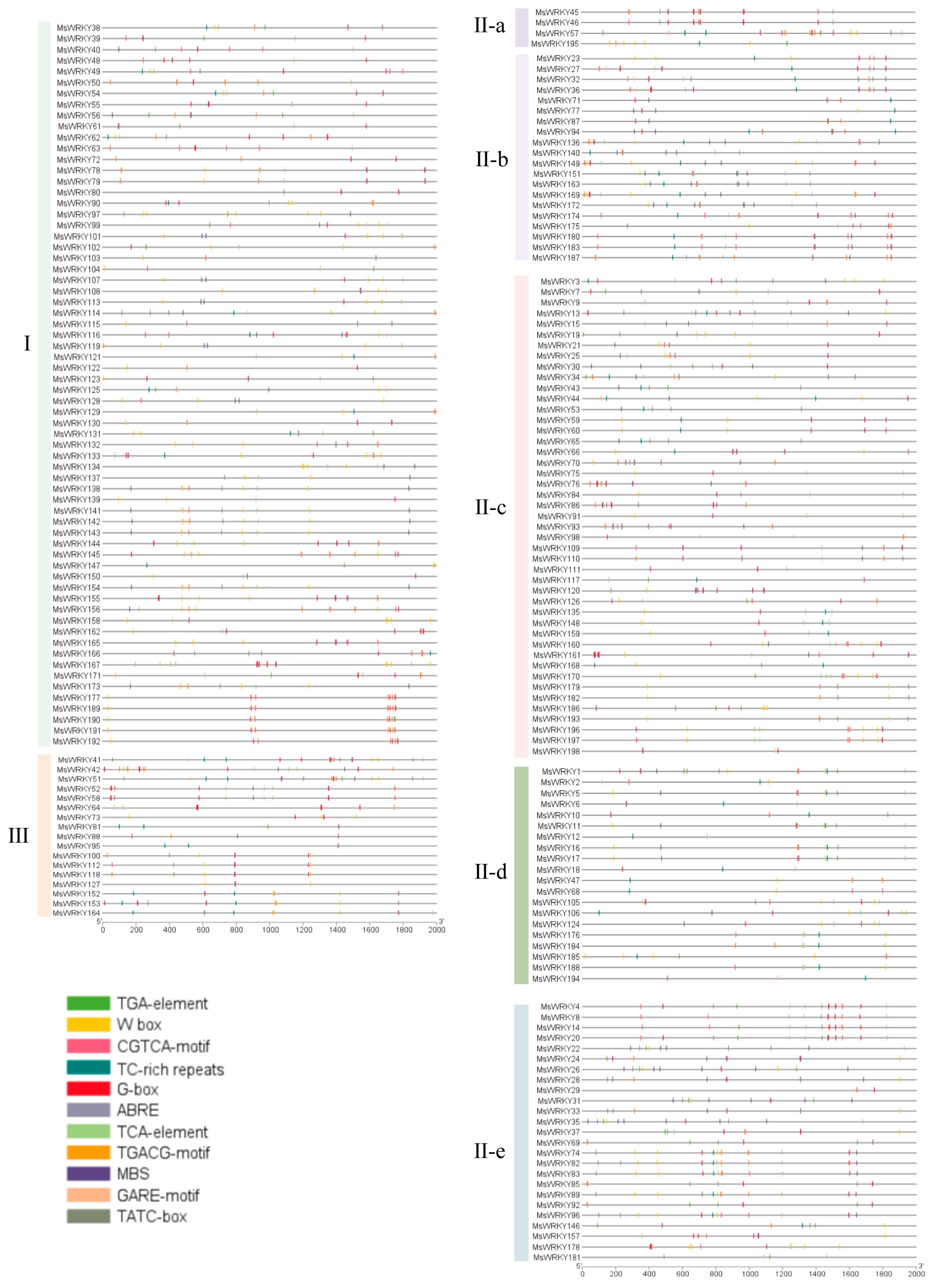 Plants 13 02725 g003