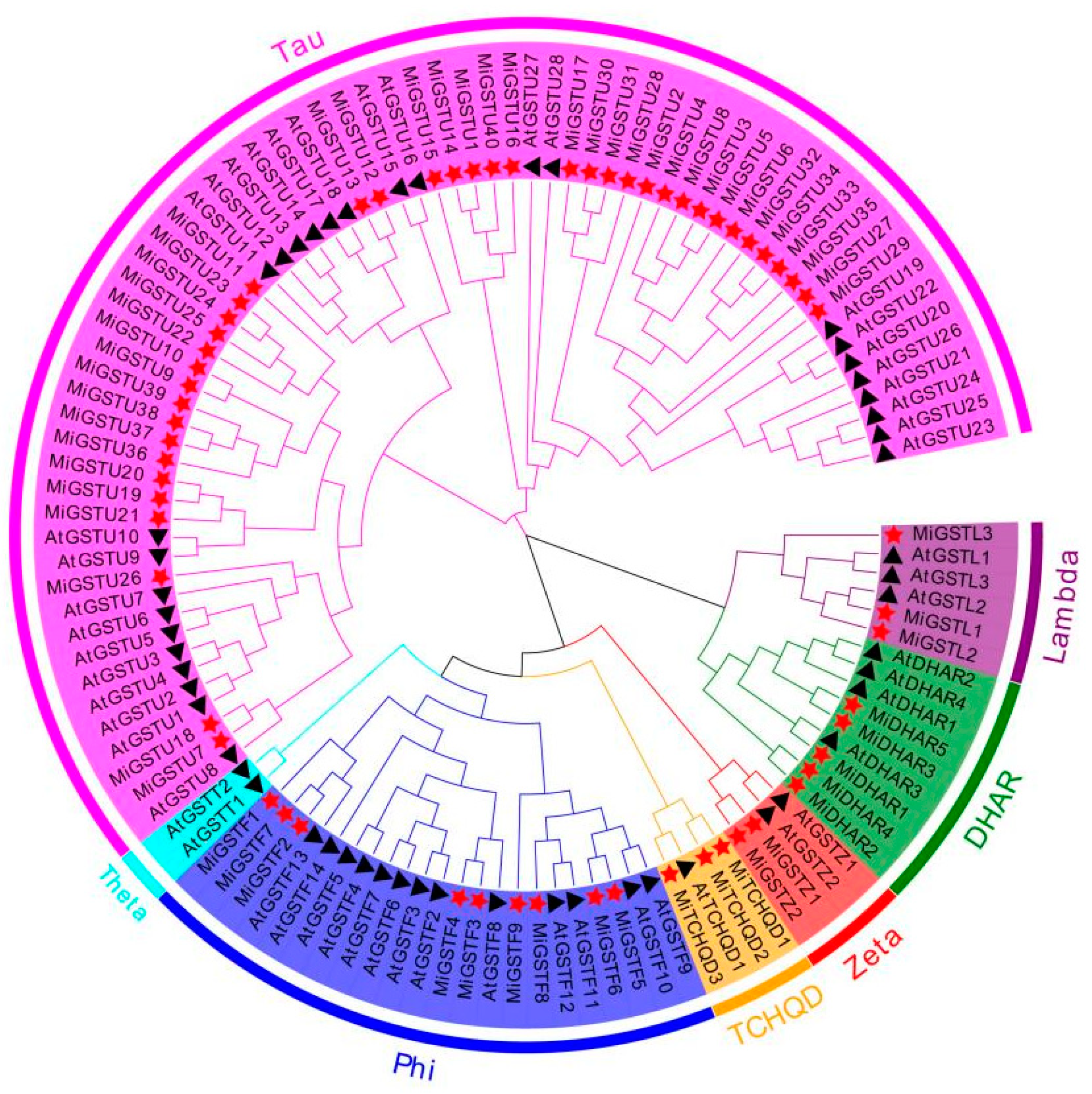 Plants 13 02726 g001