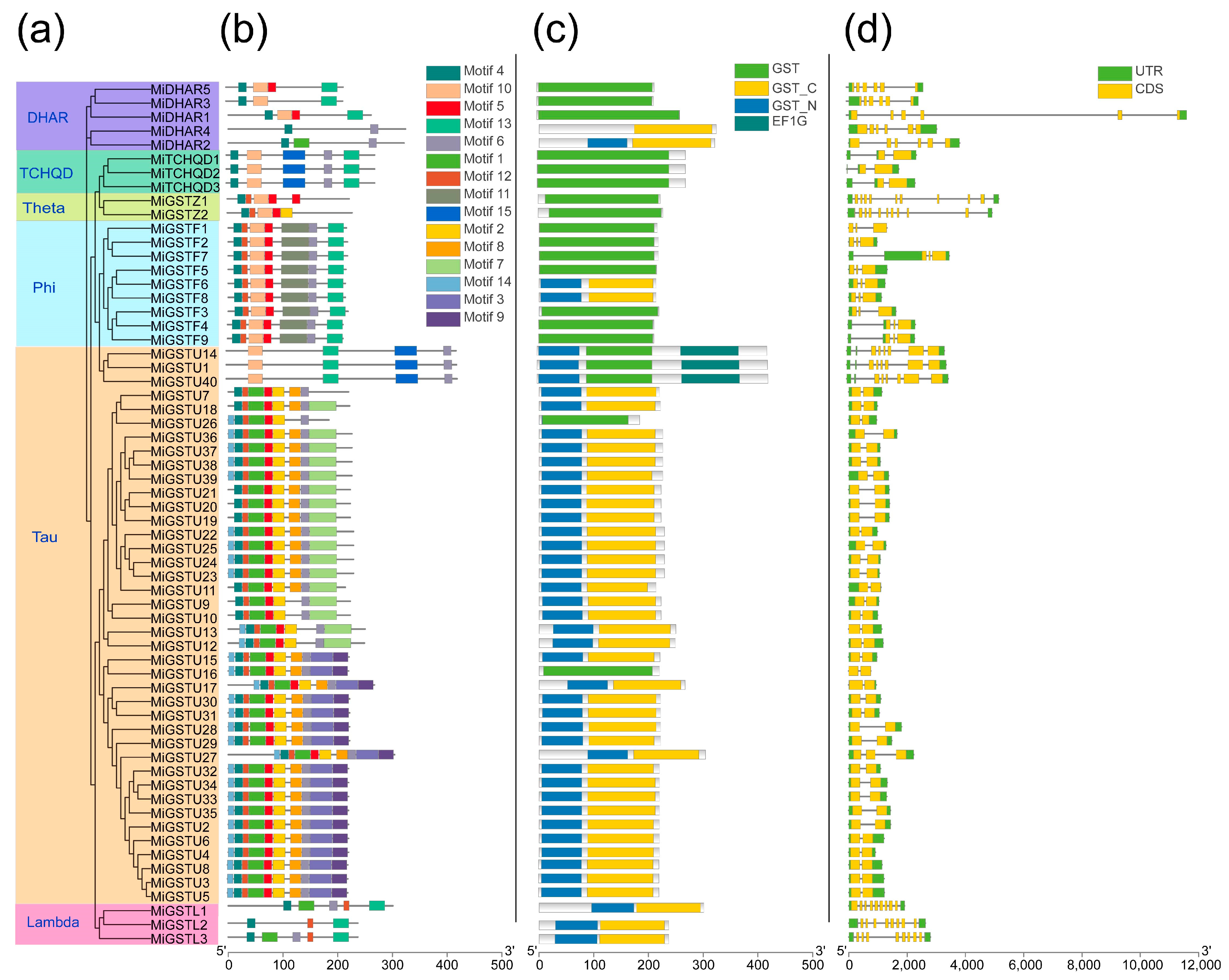 Plants 13 02726 g002