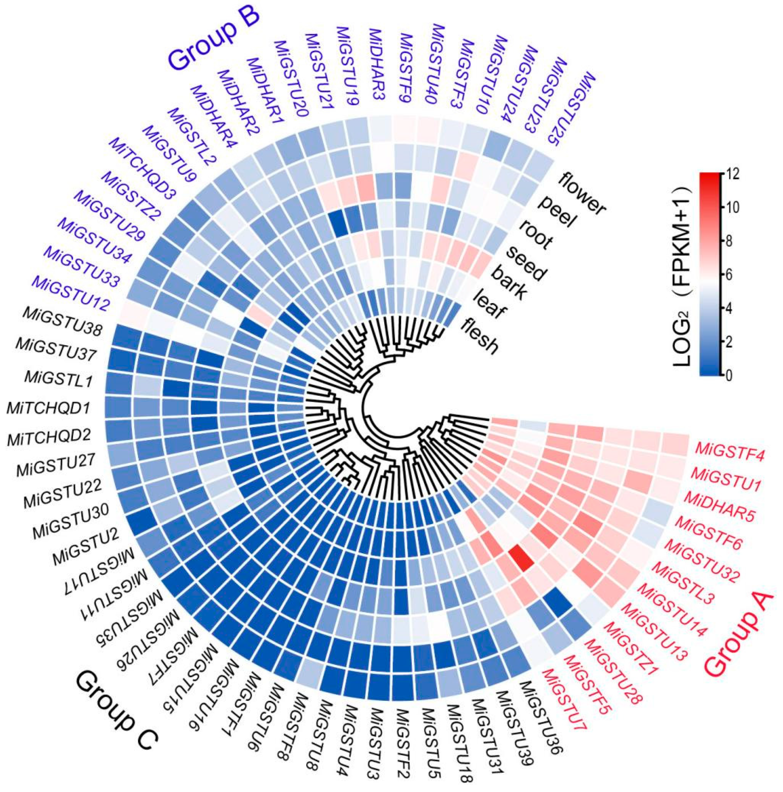 Plants 13 02726 g004