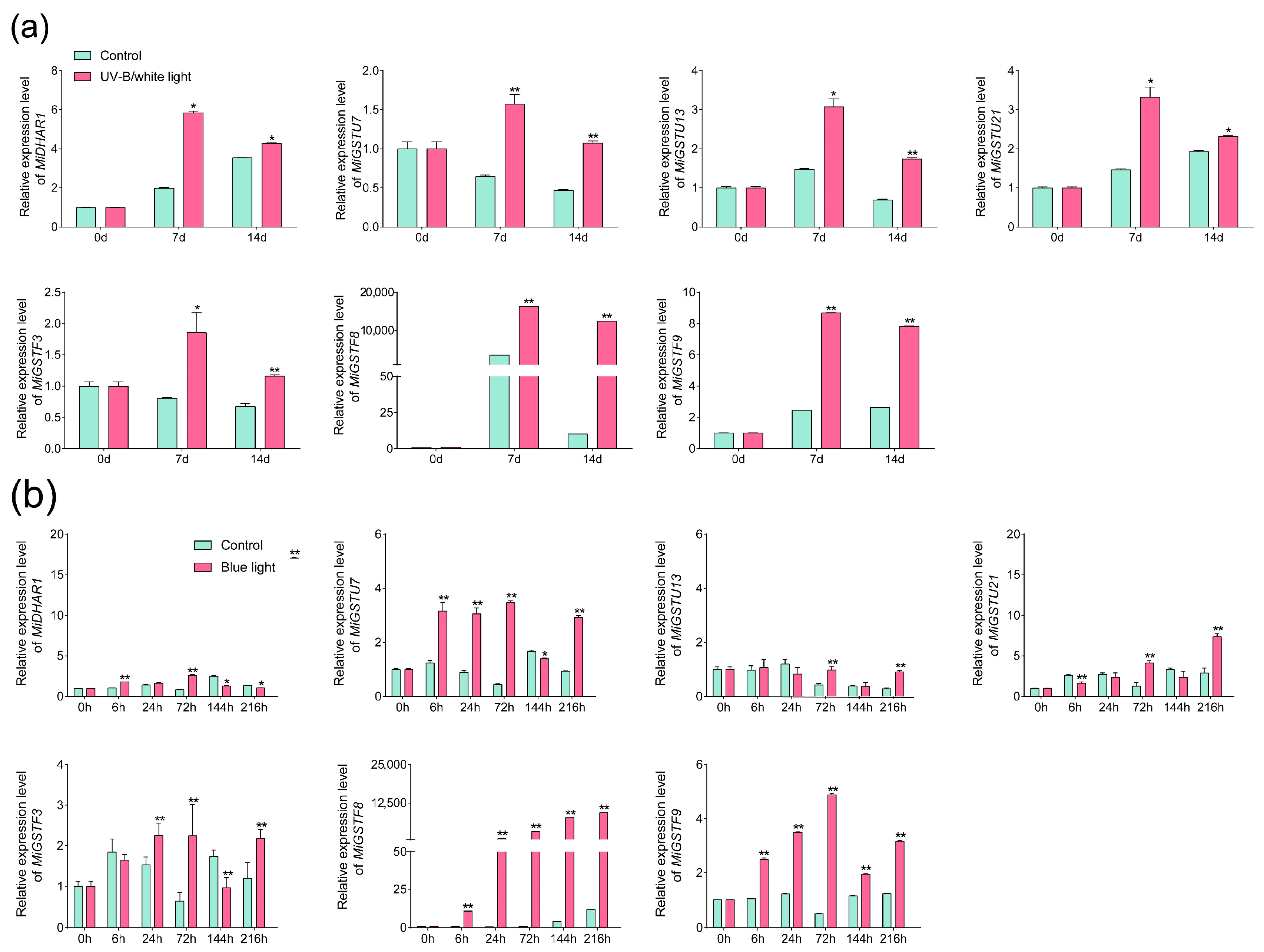 Plants 13 02726 g007