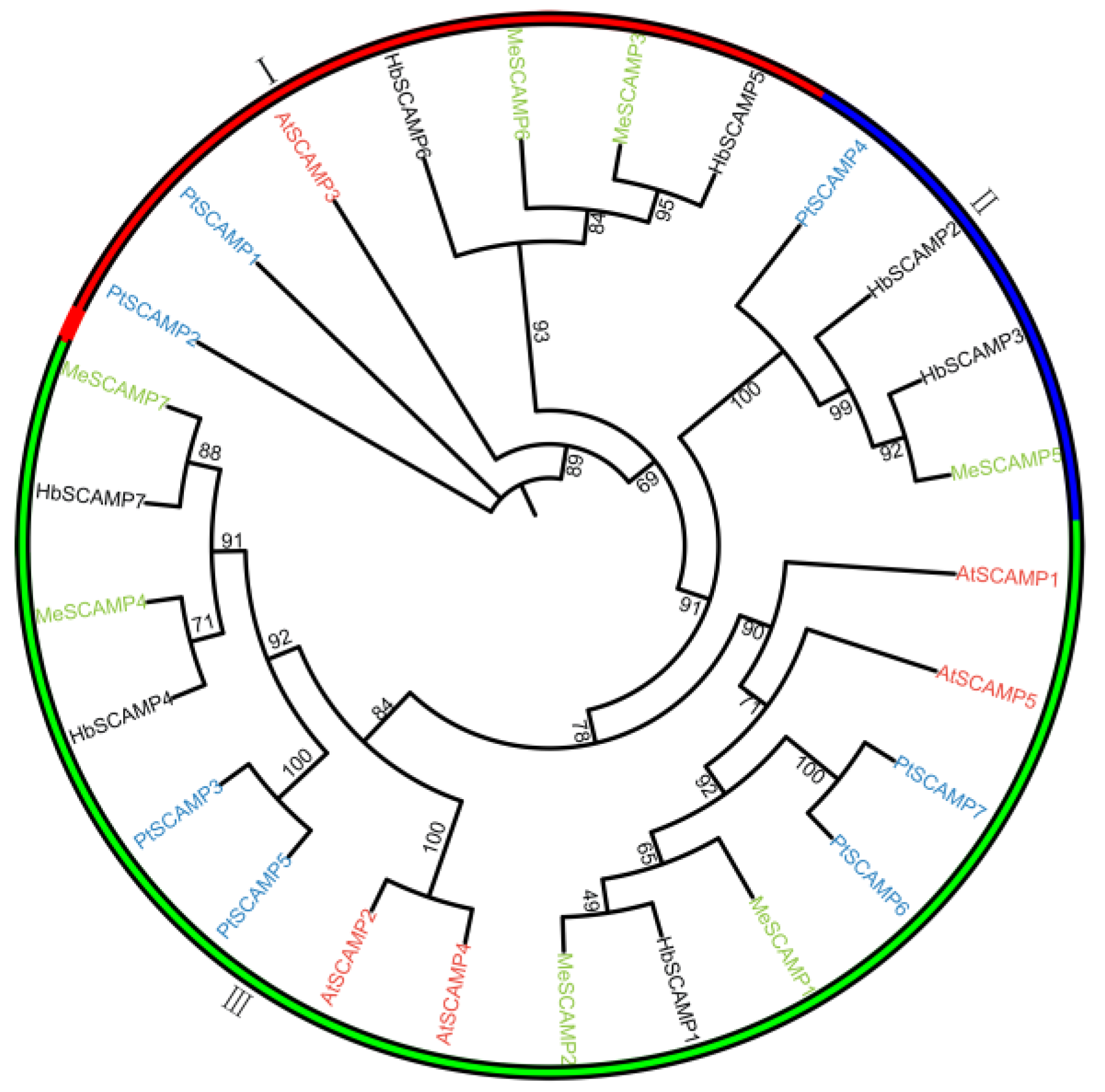 Plants 13 02729 g002