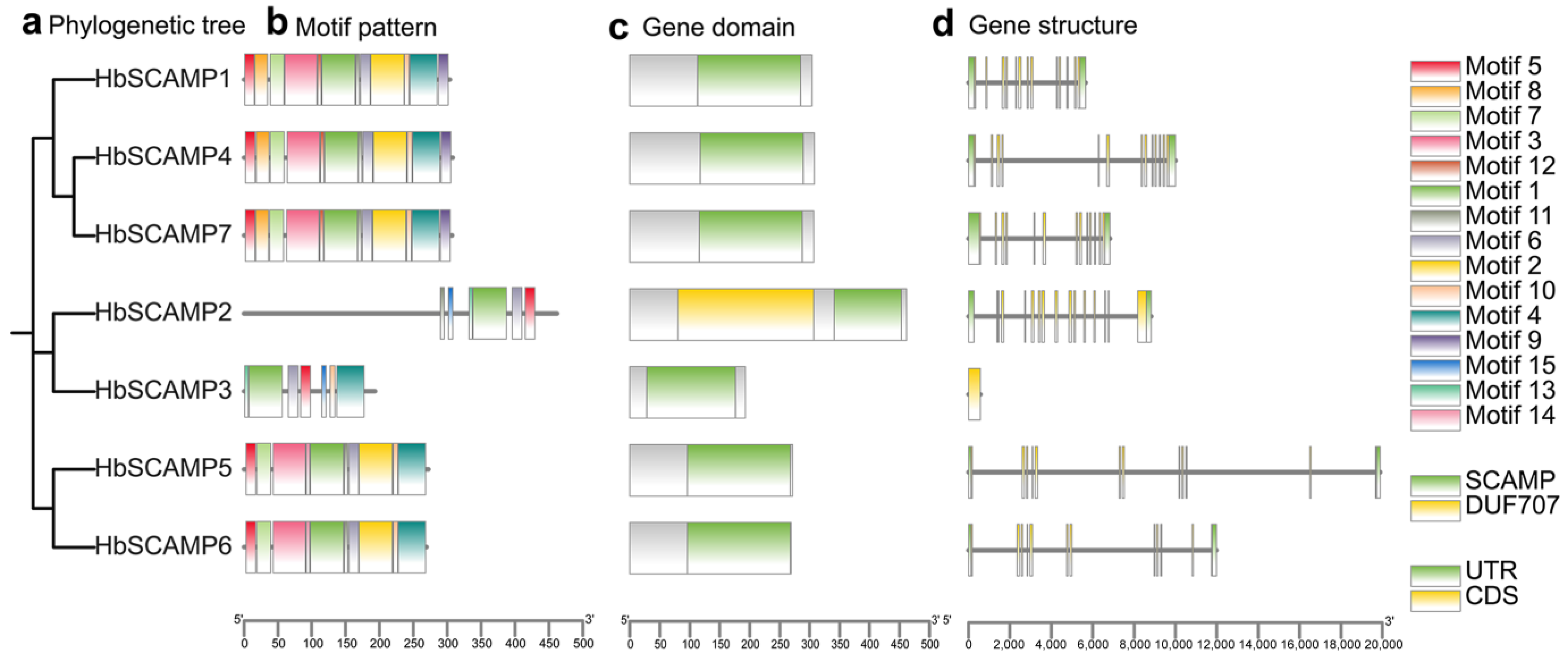 Plants 13 02729 g003