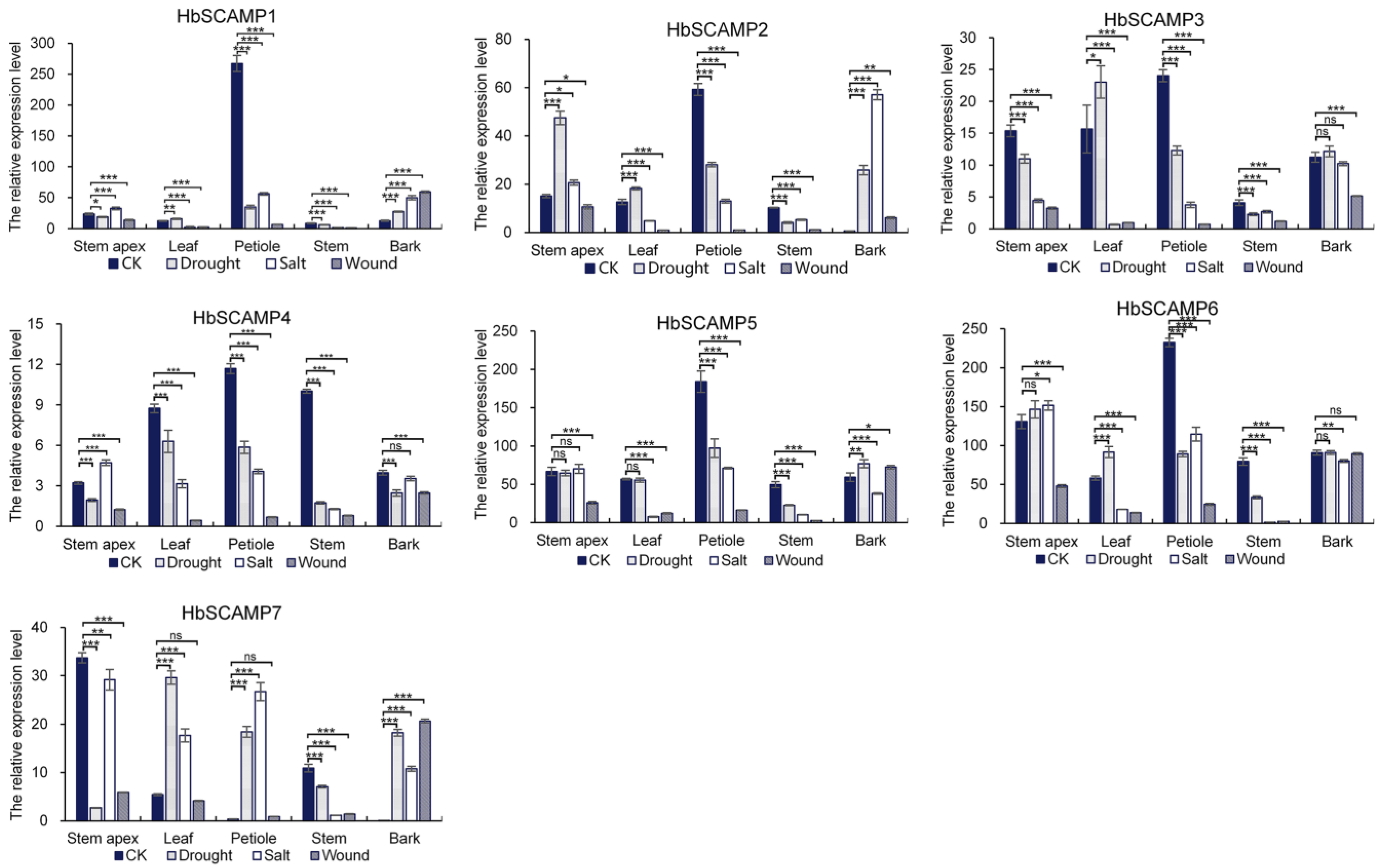 Plants 13 02729 g006
