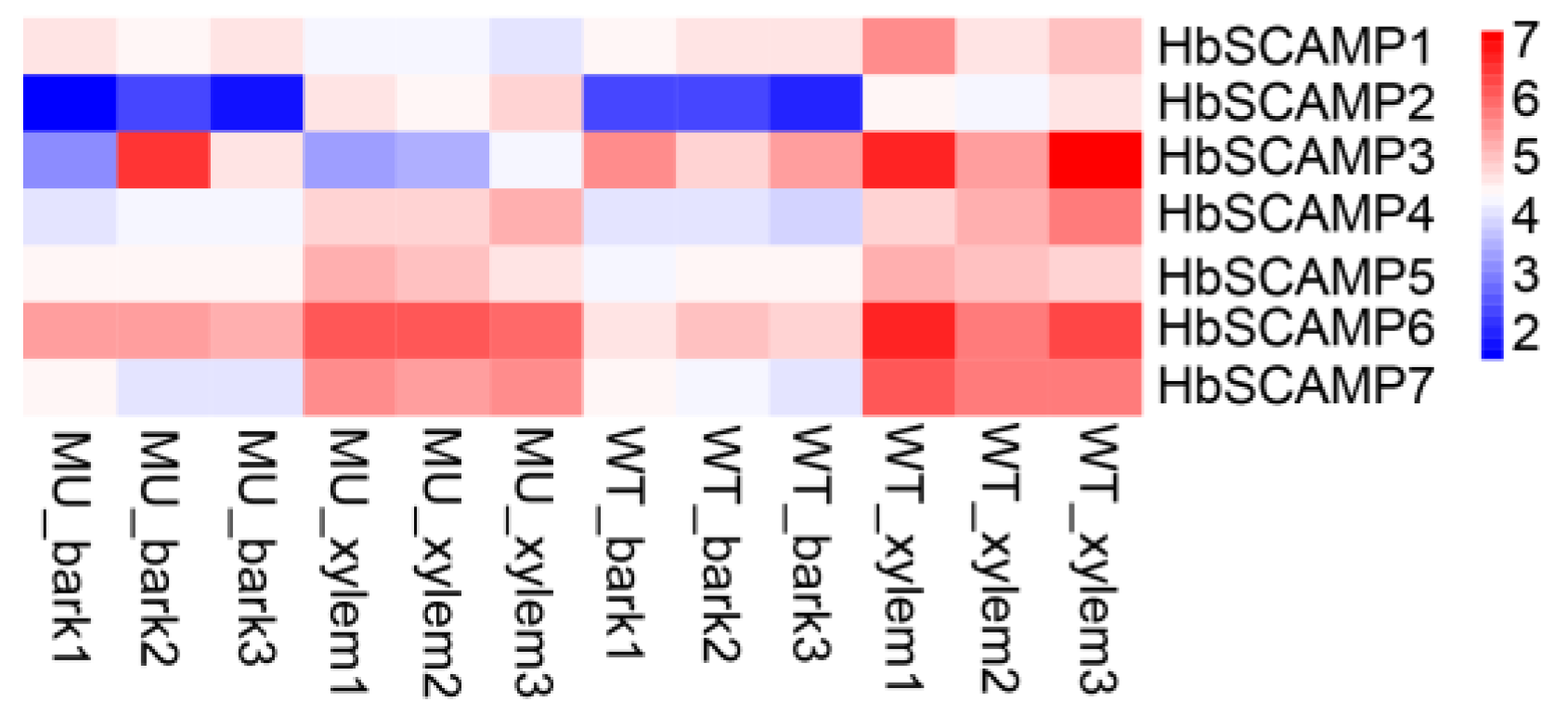 Plants 13 02729 g007