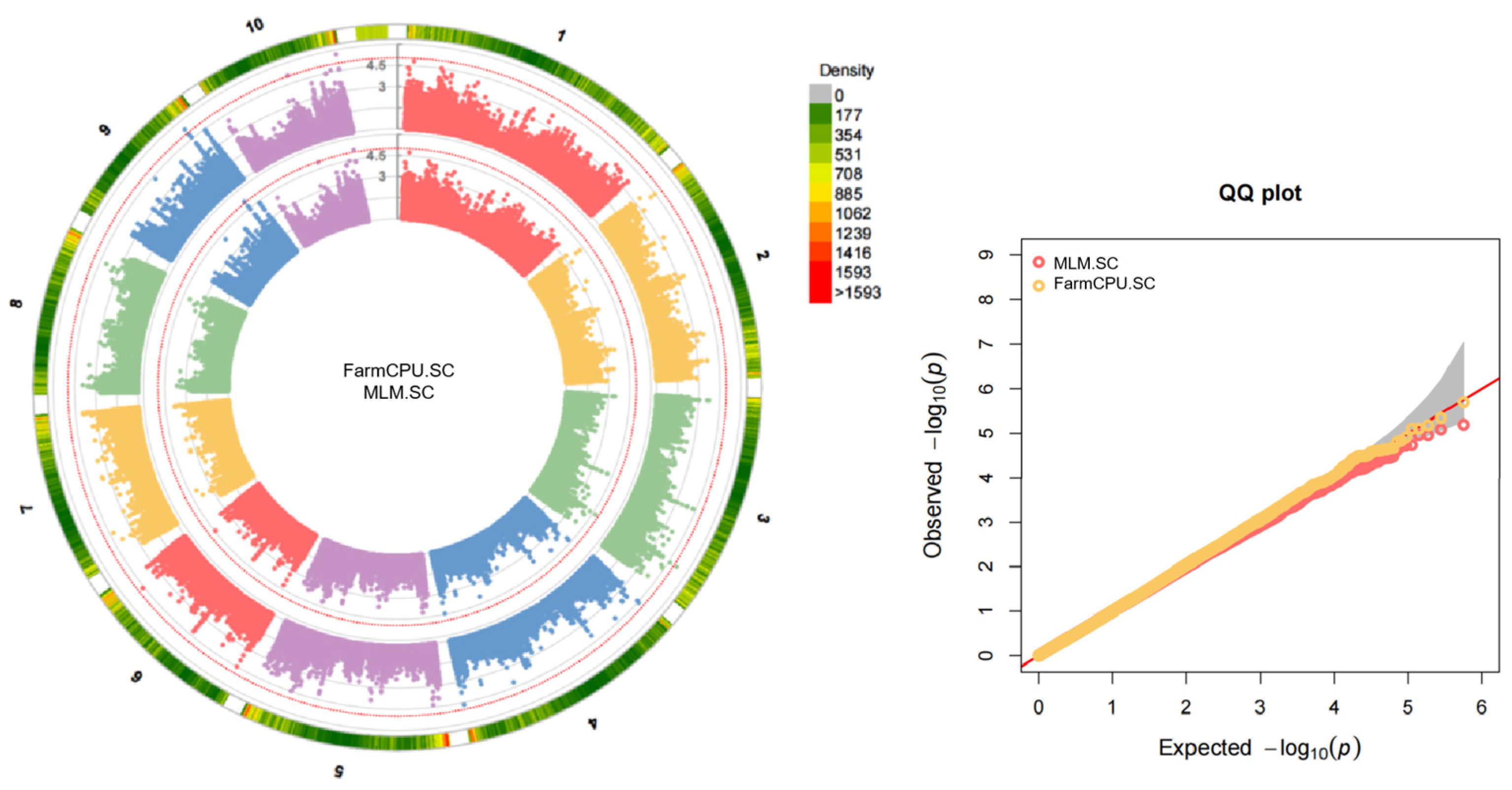 Plants 13 02730 g001b