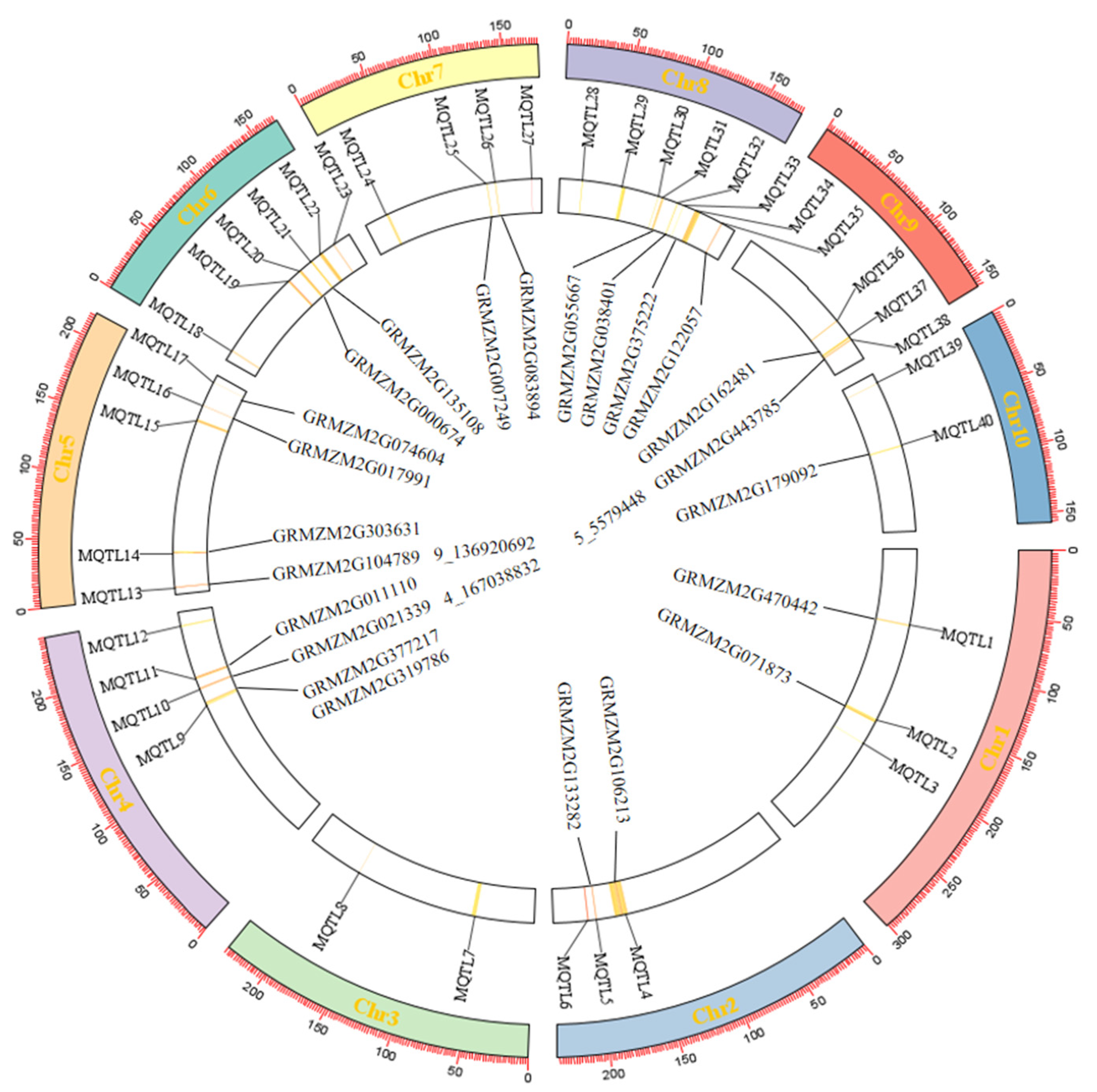 Plants 13 02730 g004