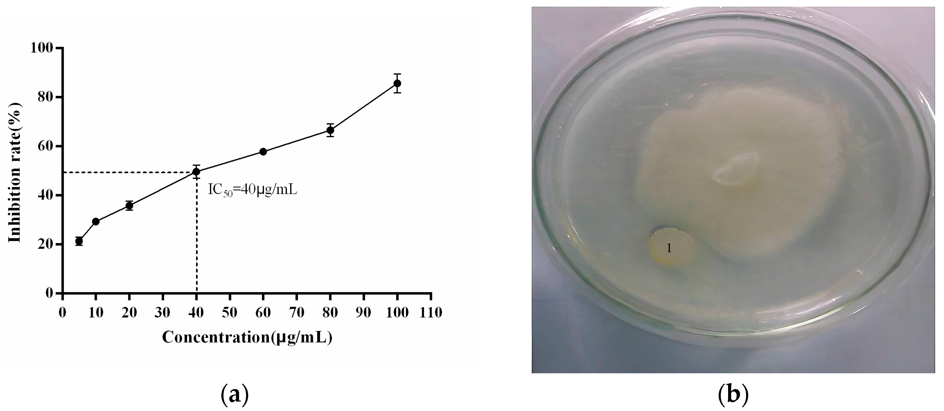 Plants 13 02731 g011