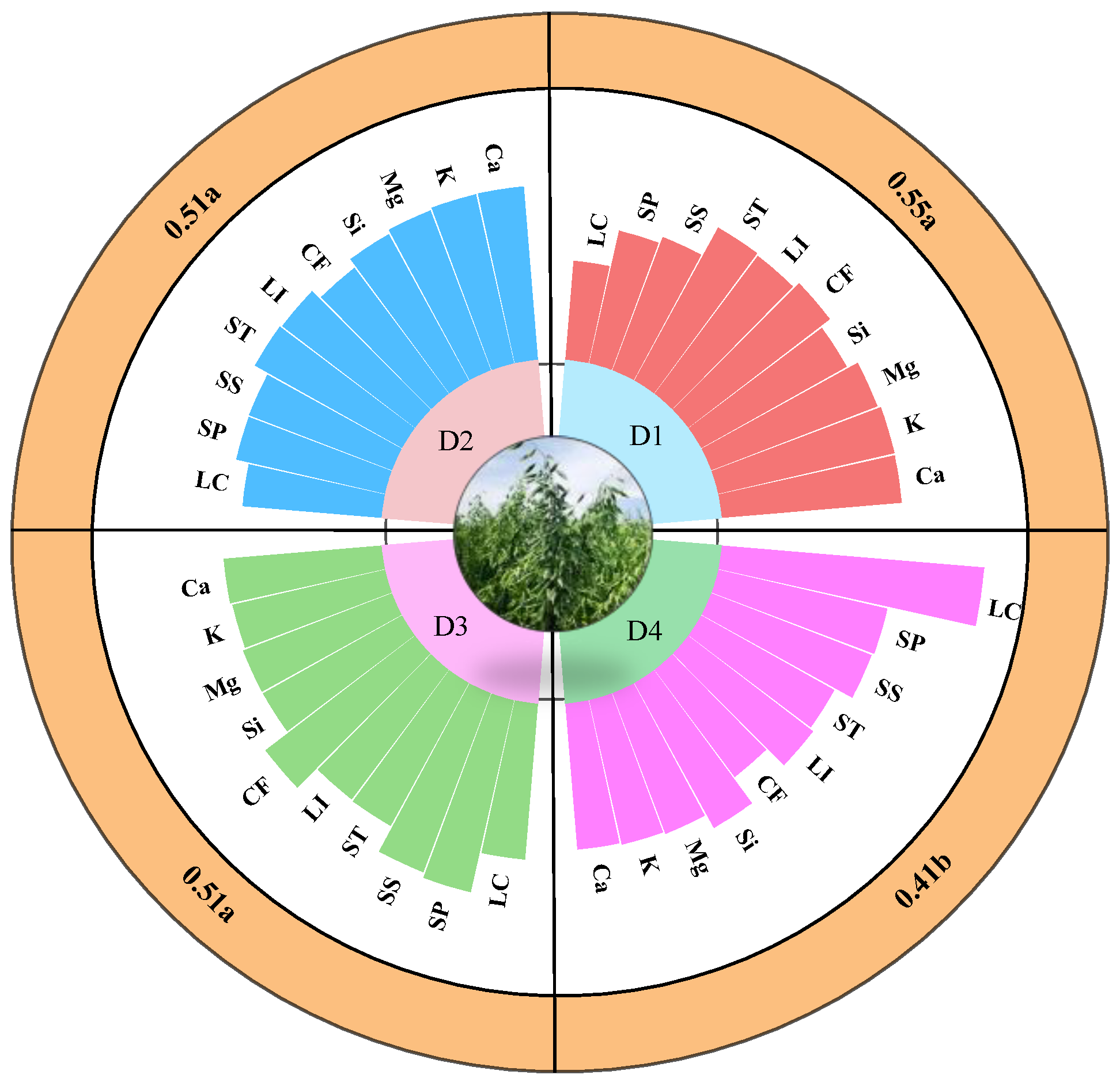 Plants 13 02739 g005