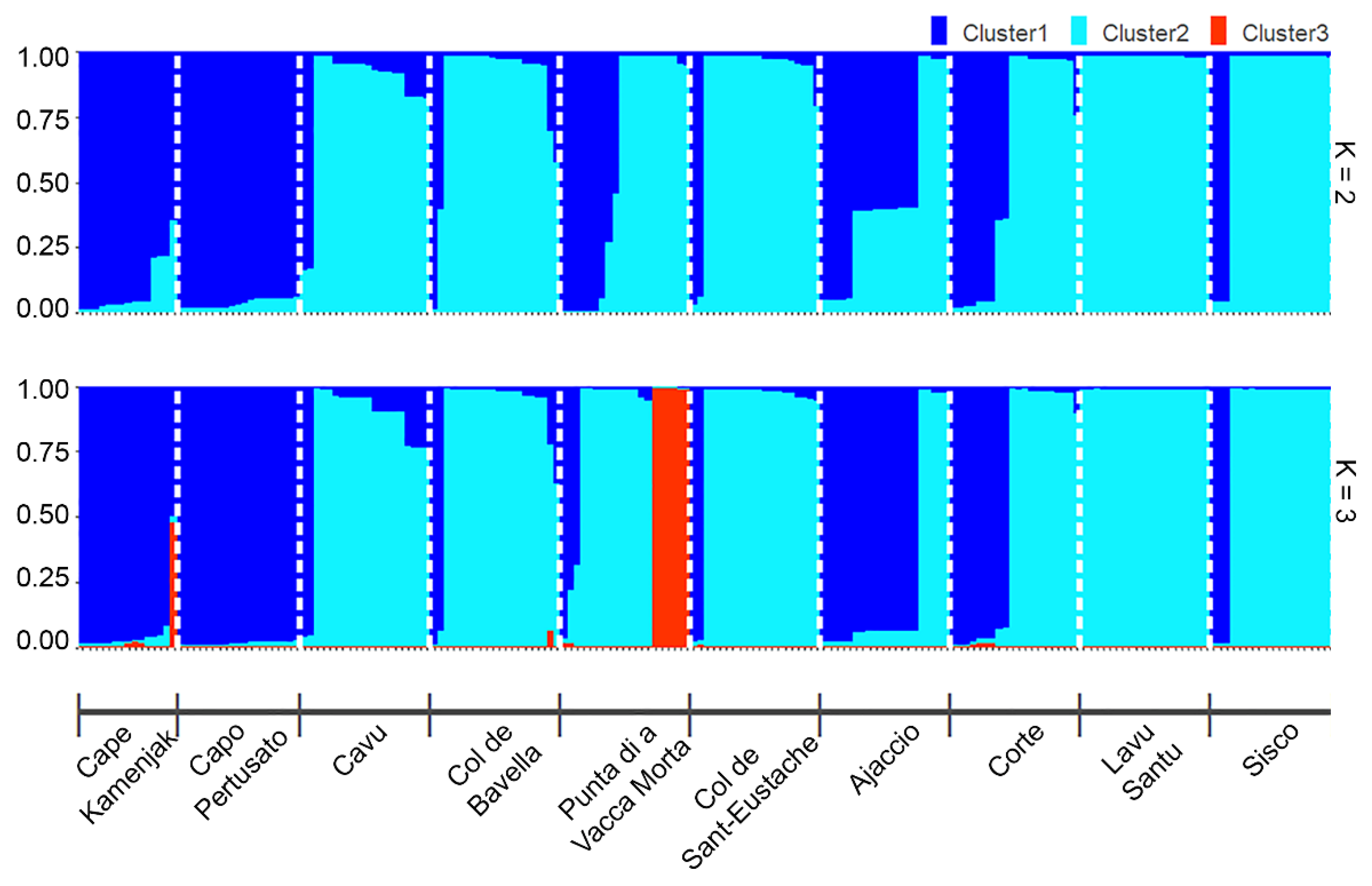 Plants 13 02740 g004