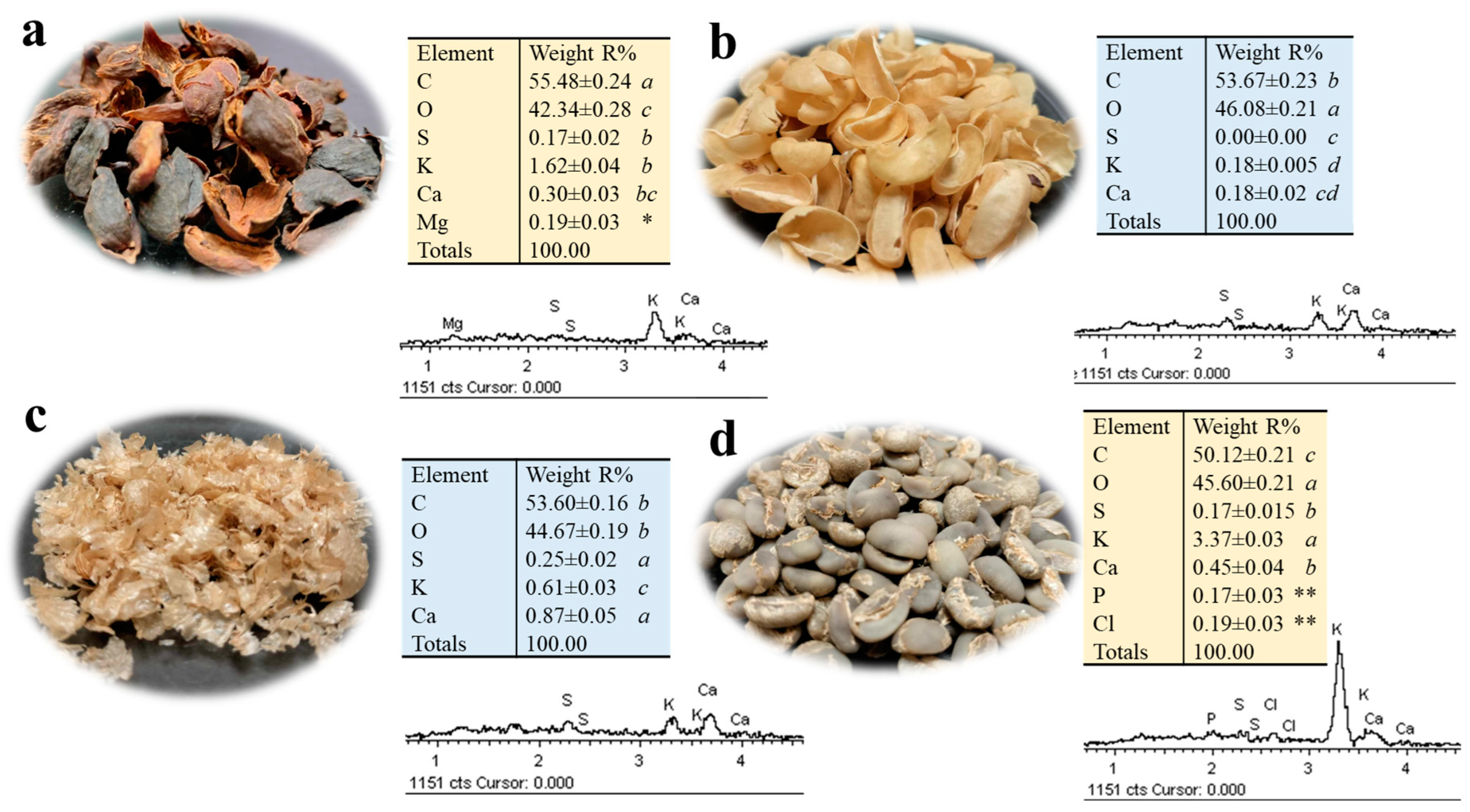 Plants 13 02741 g003