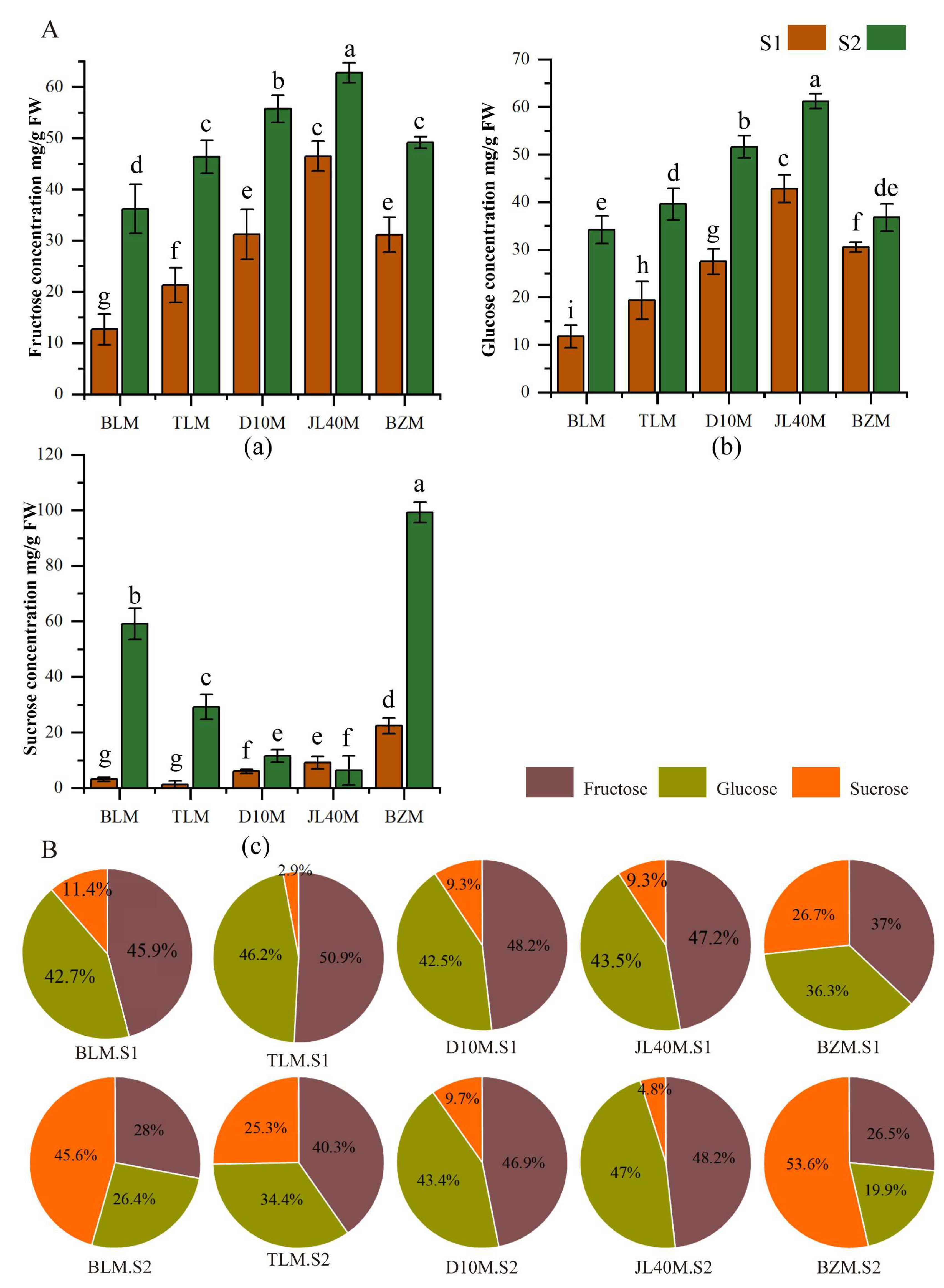 Plants 13 02763 g002