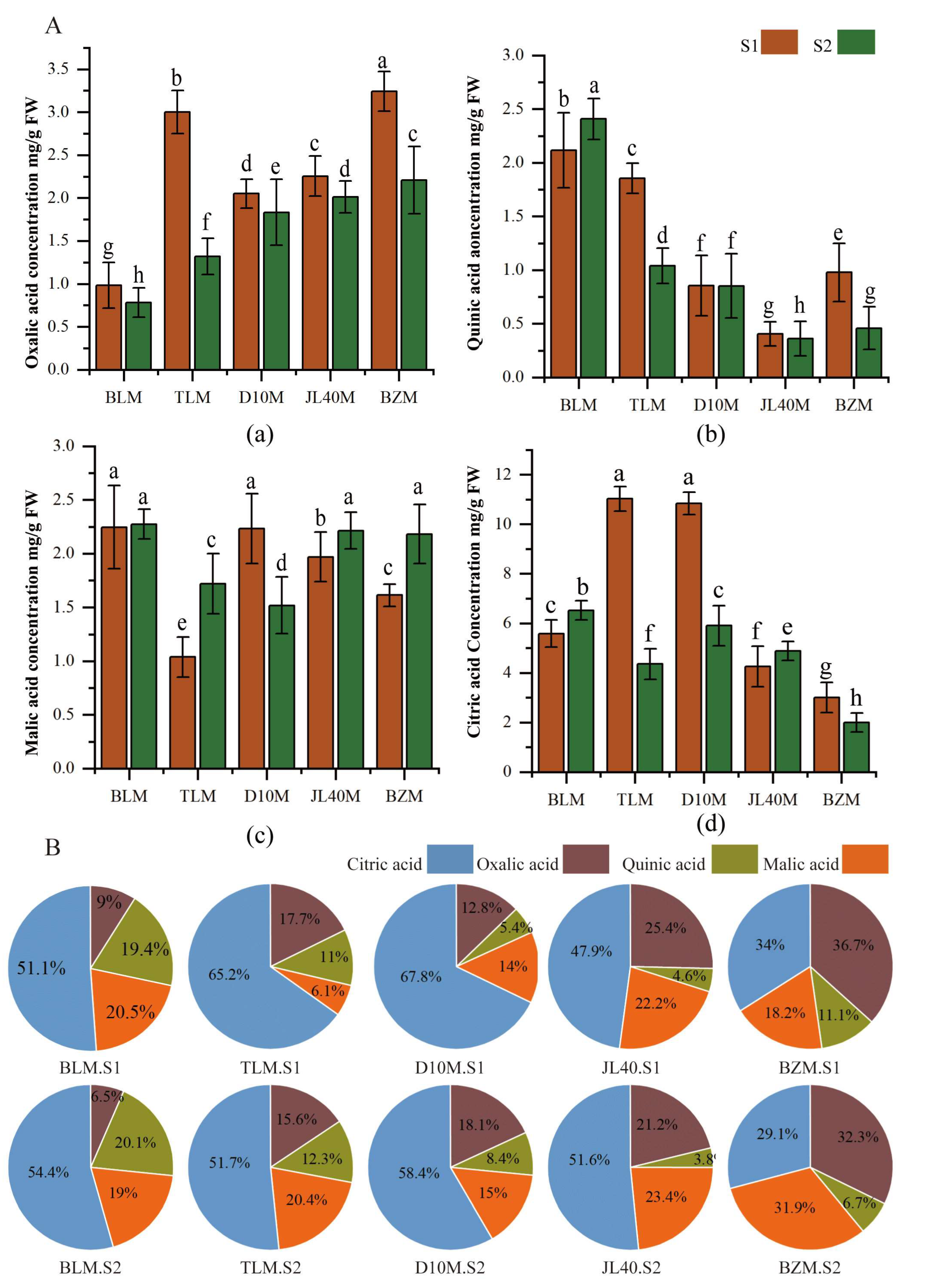 Plants 13 02763 g003