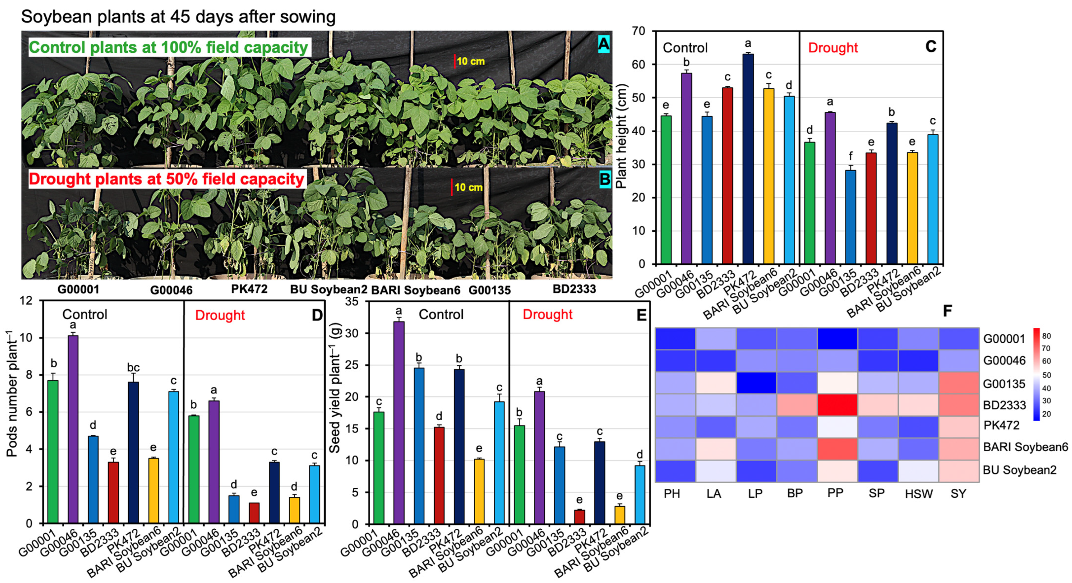Plants 13 02765 g001