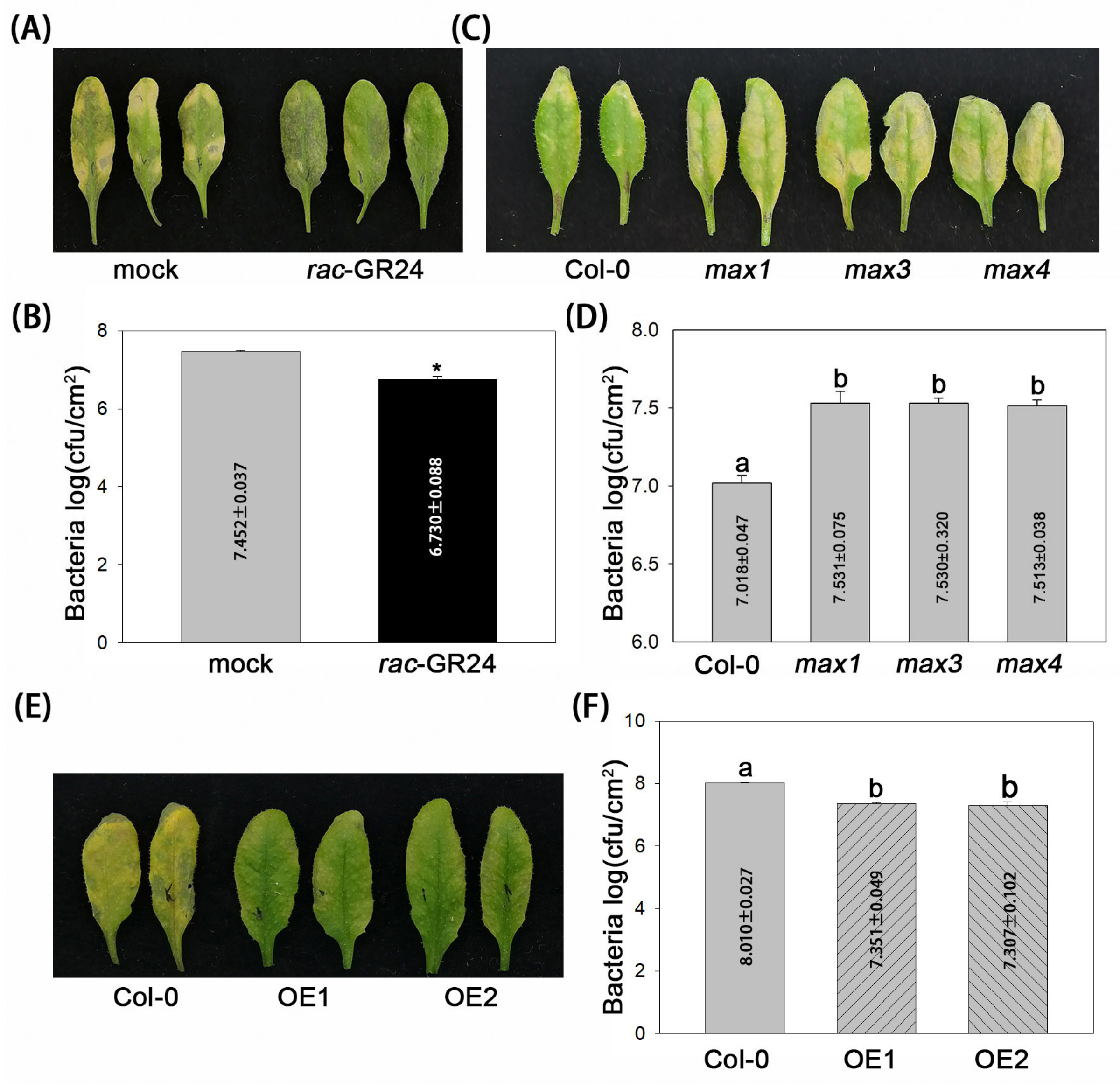 Plants 13 02766 g001 Plants 13 02766 g001