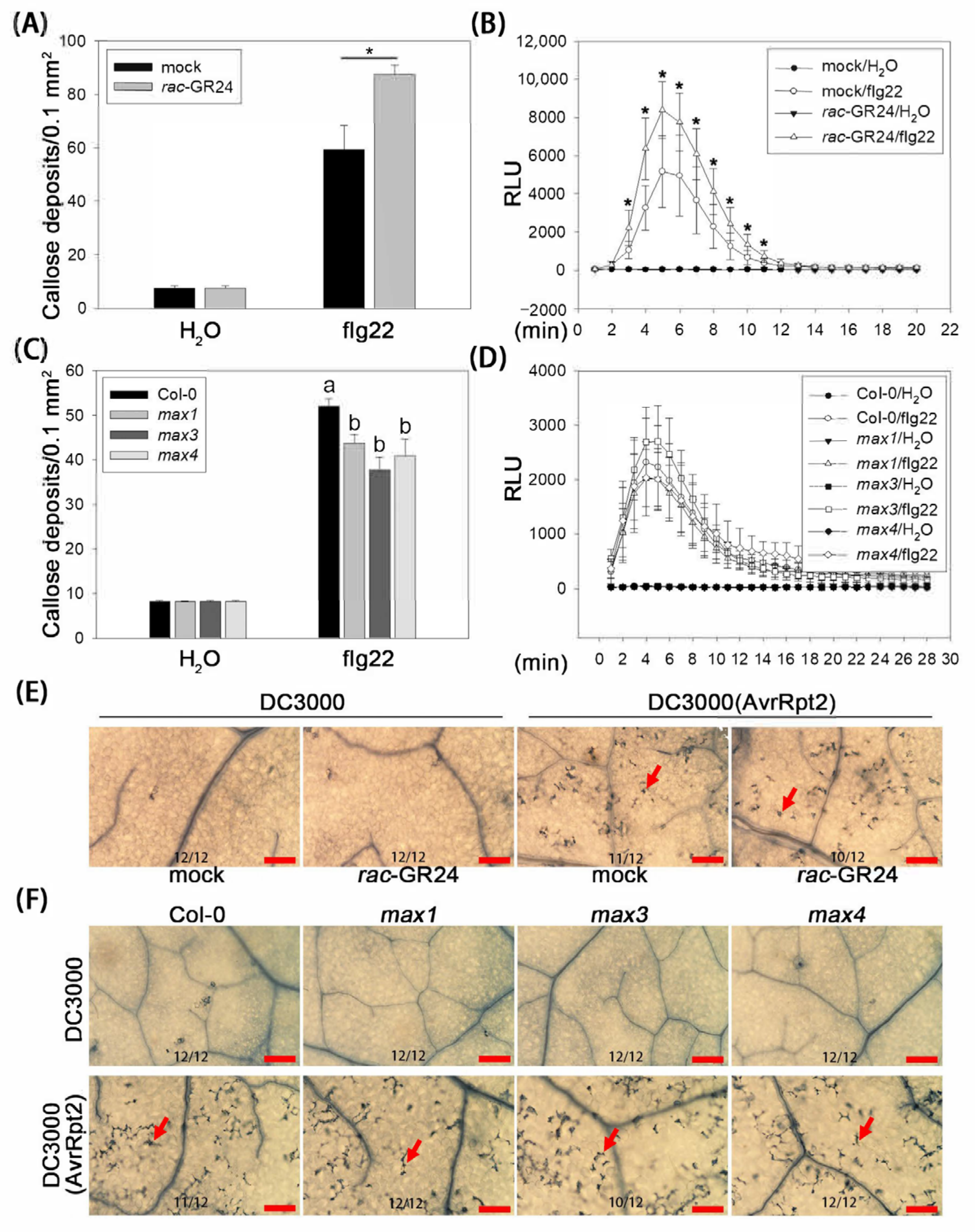 Plants 13 02766 g002 Plants 13 02766 g002