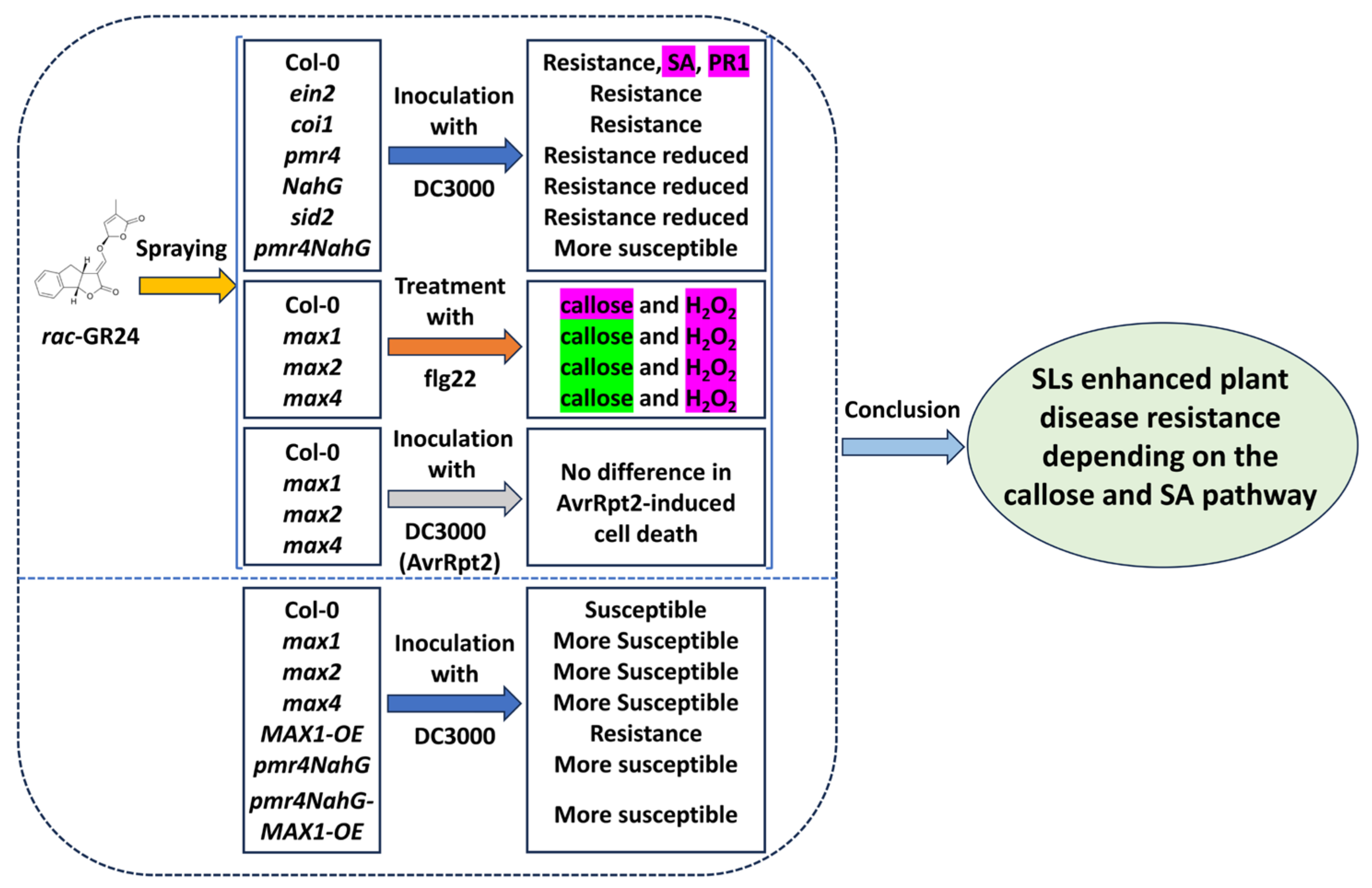 Plants 13 02766 g005 Plants 13 02766 g005