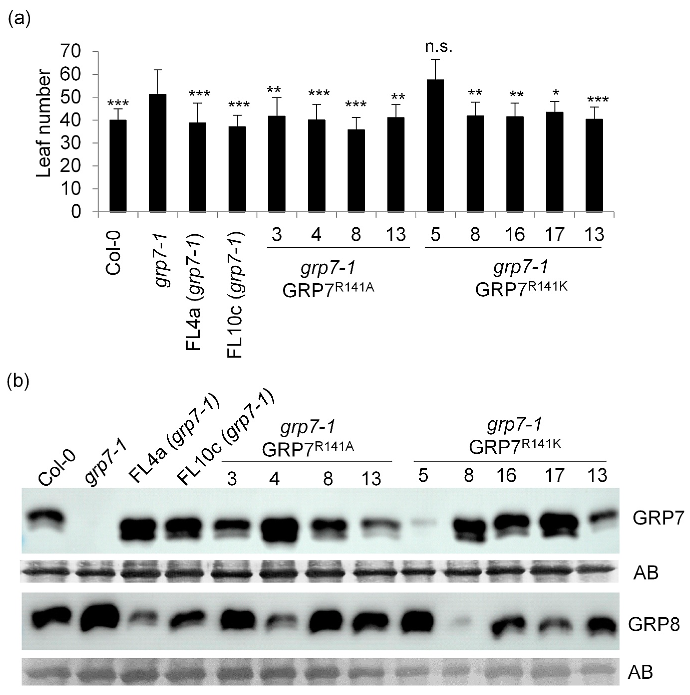 Plants 13 02771 g001