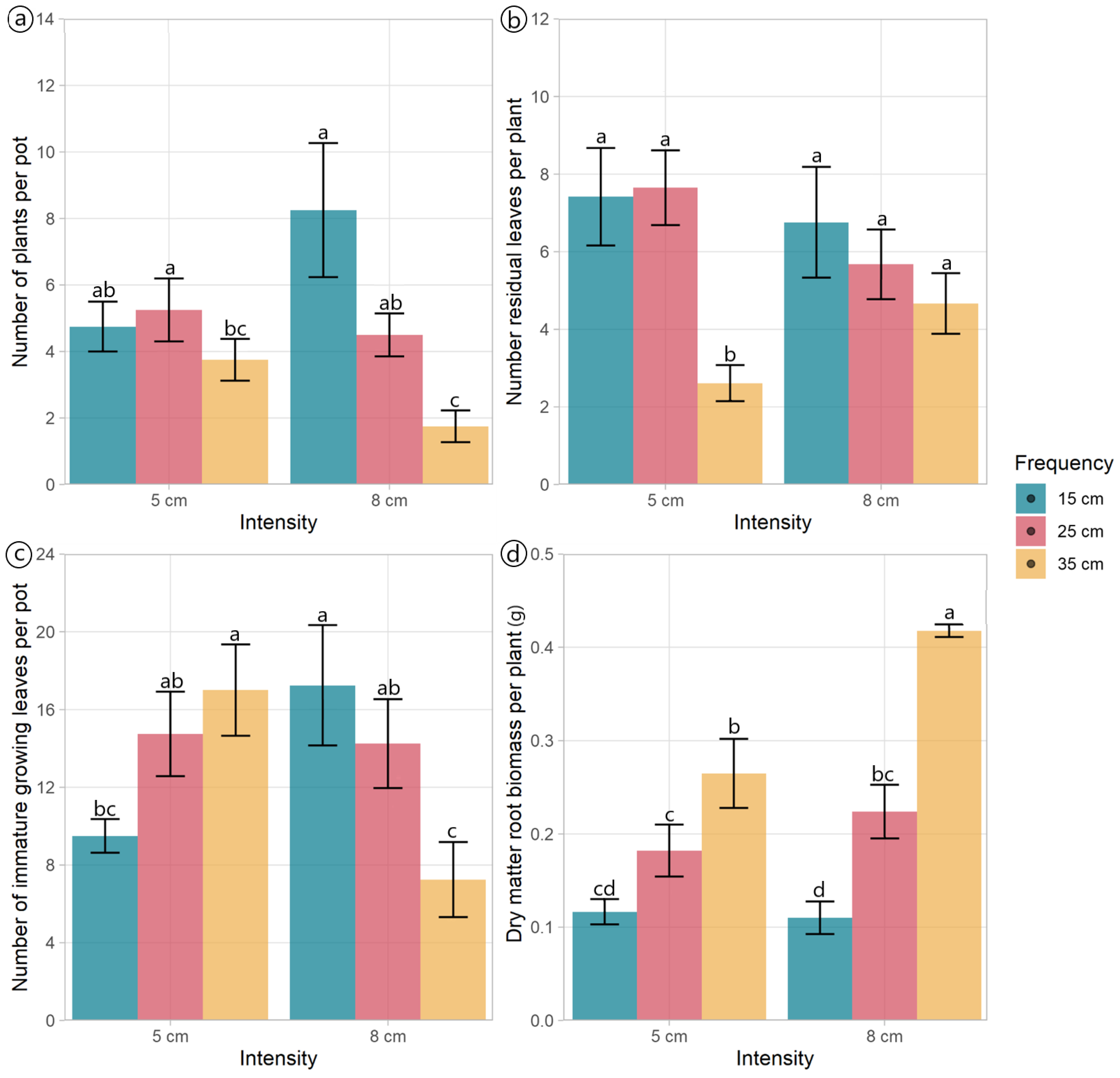 Plants 13 02773 g002