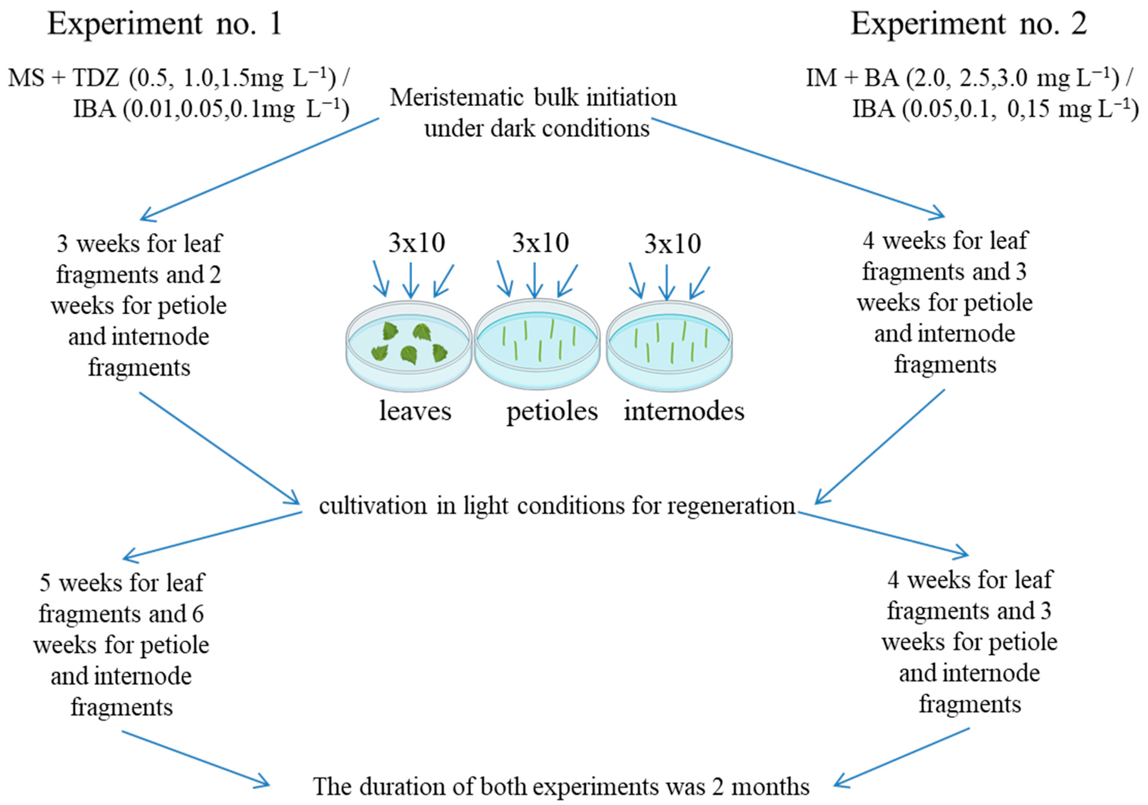 Plants 13 02779 g010 Plants 13 02779 g010