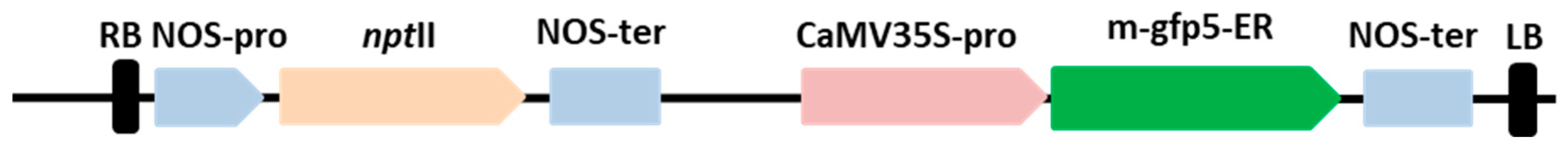 Plants 13 02779 g011 Plants 13 02779 g011