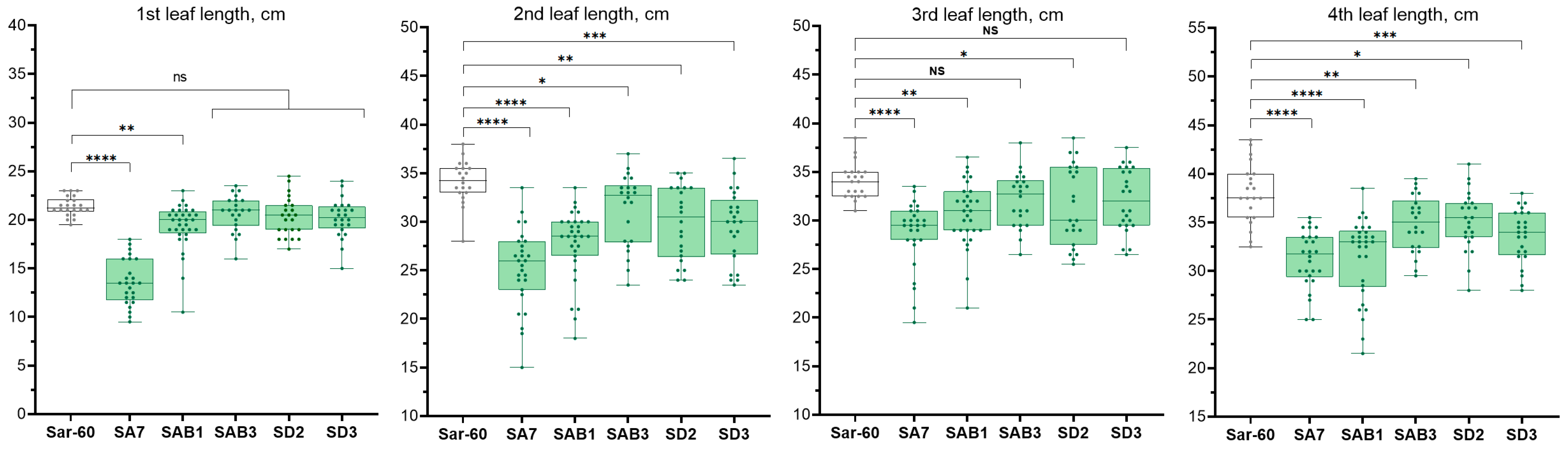 Plants 13 02781 g006