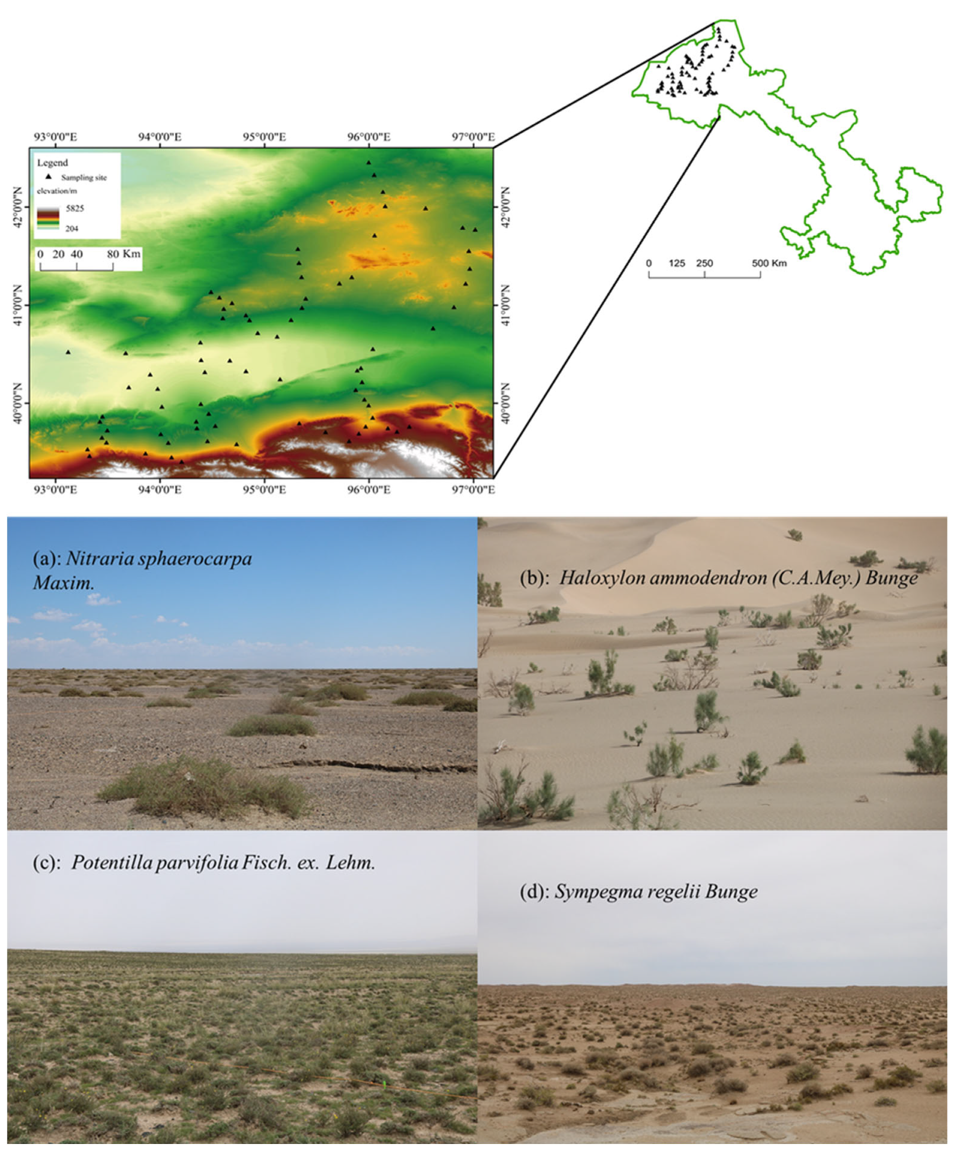 Plants 13 02783 g001