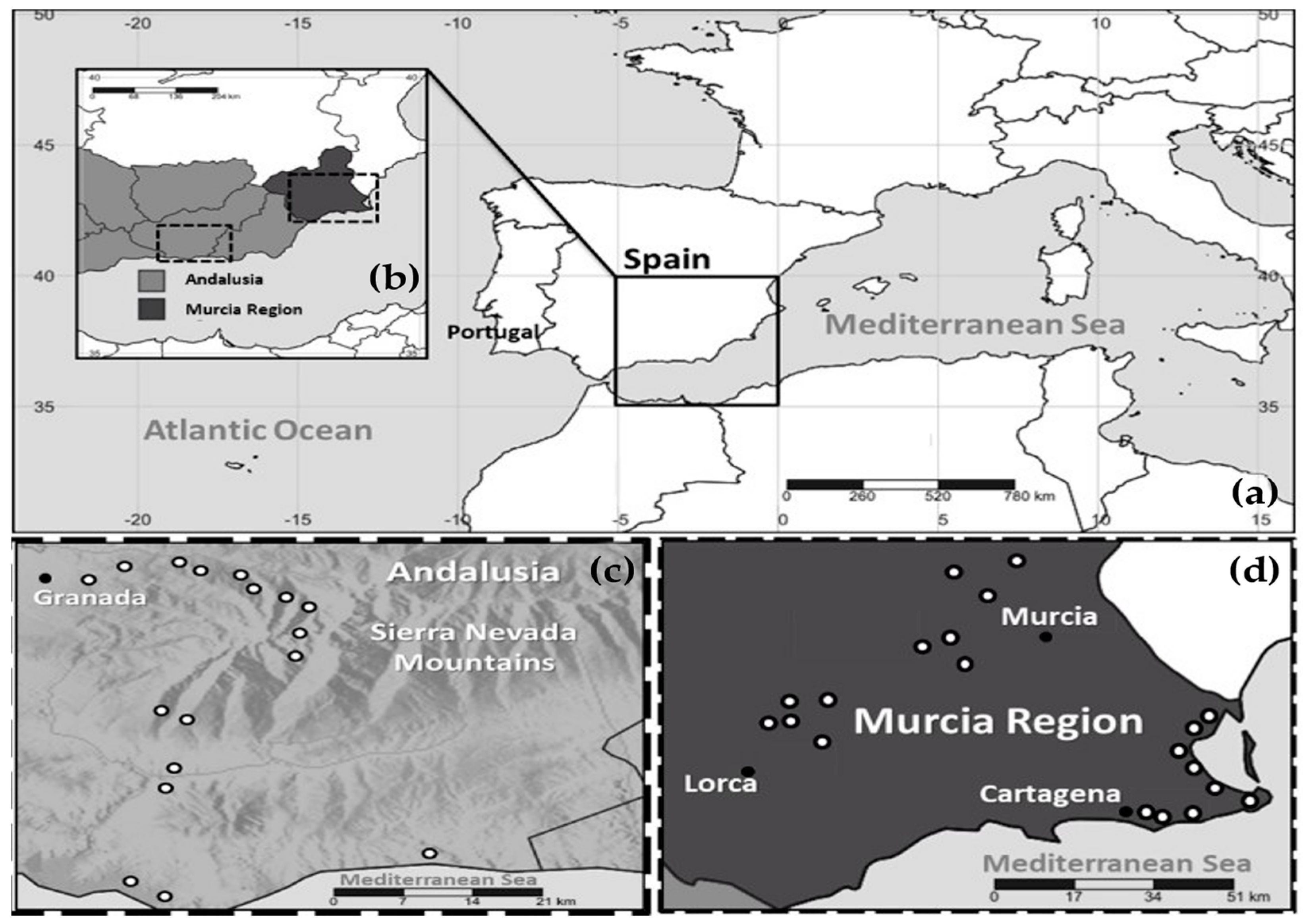 Plants 13 02785 g005 Plants 13 02785 g005