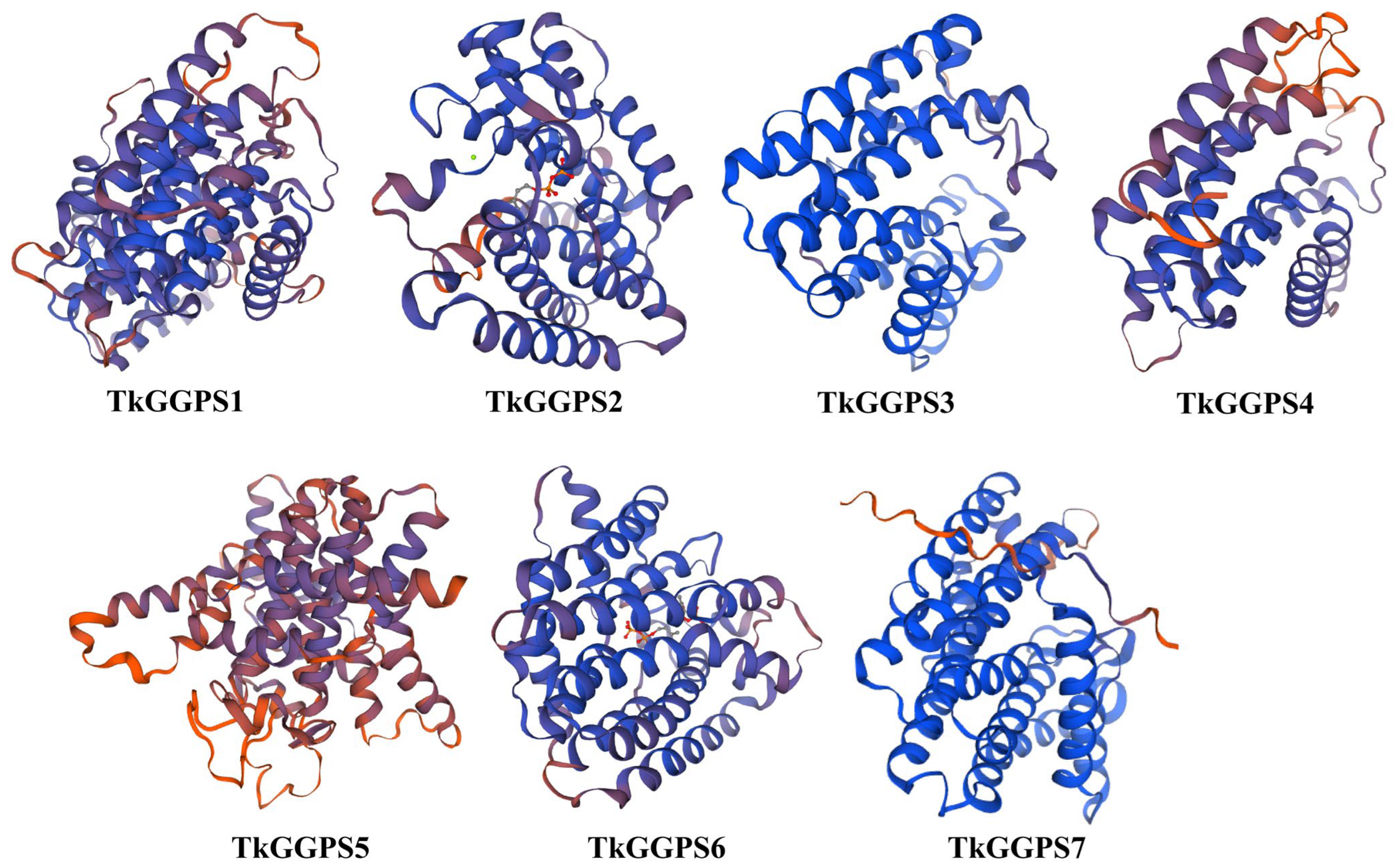 Plants 13 02788 g001