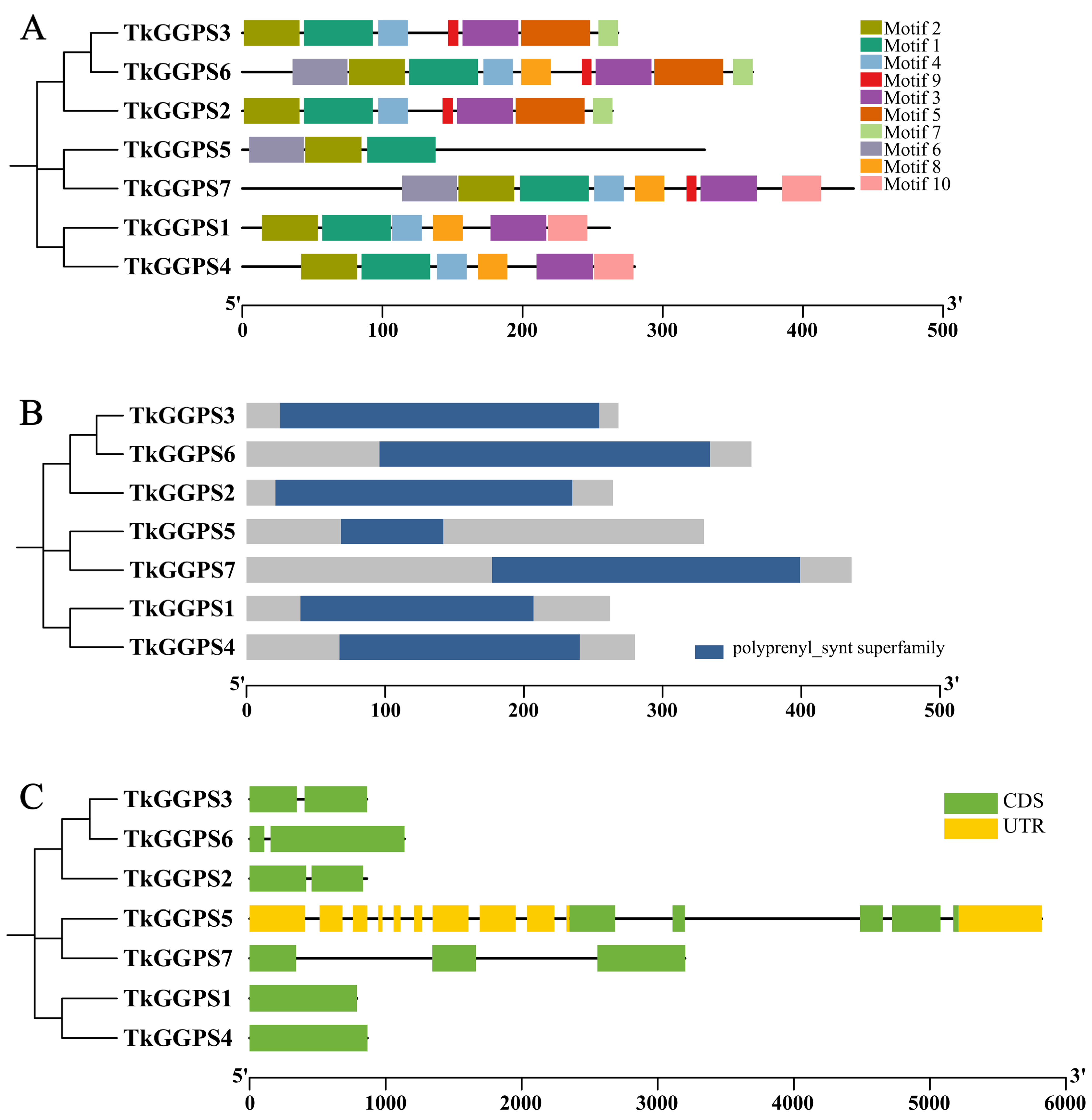 Plants 13 02788 g002
