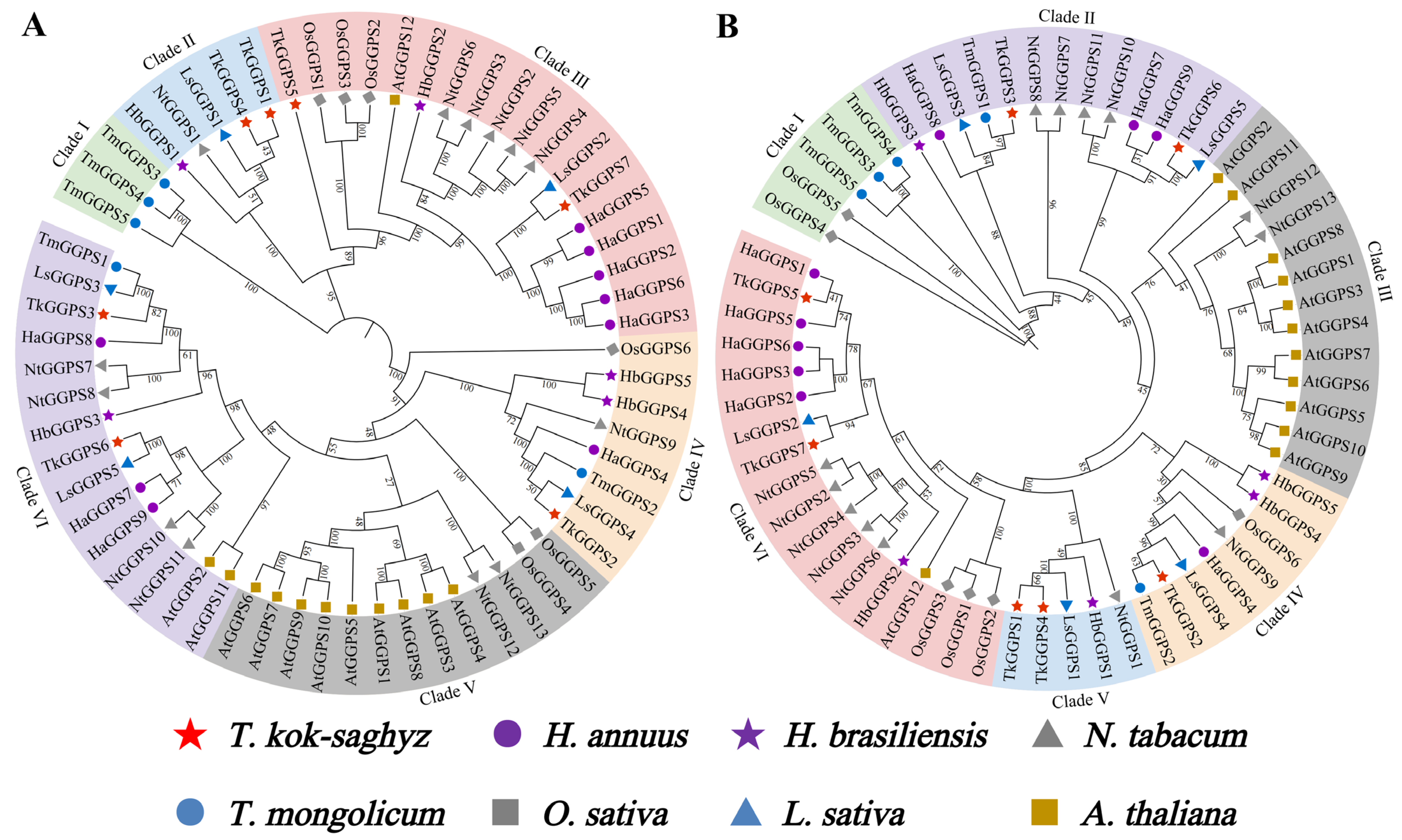 Plants 13 02788 g004