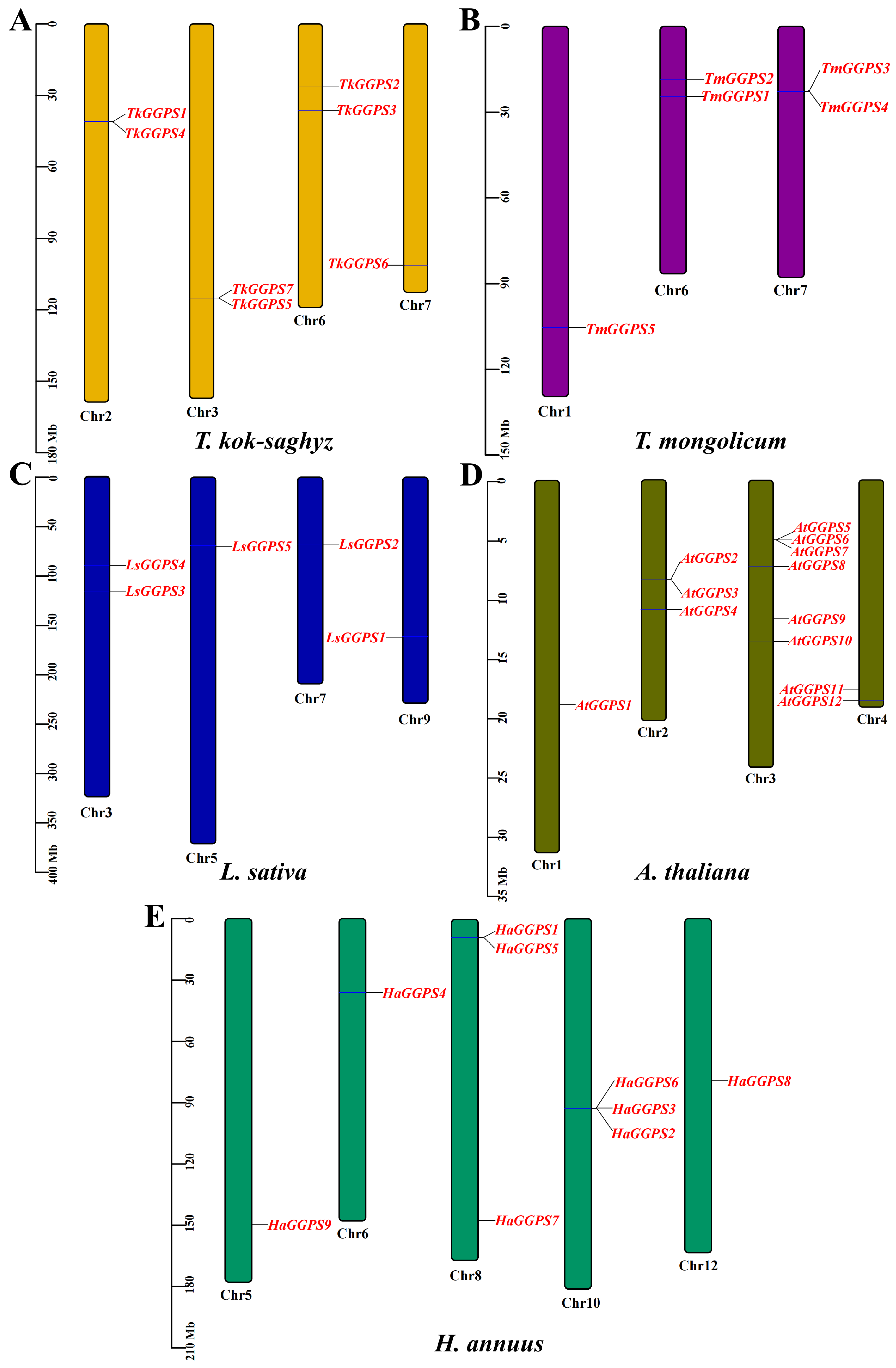 Plants 13 02788 g005