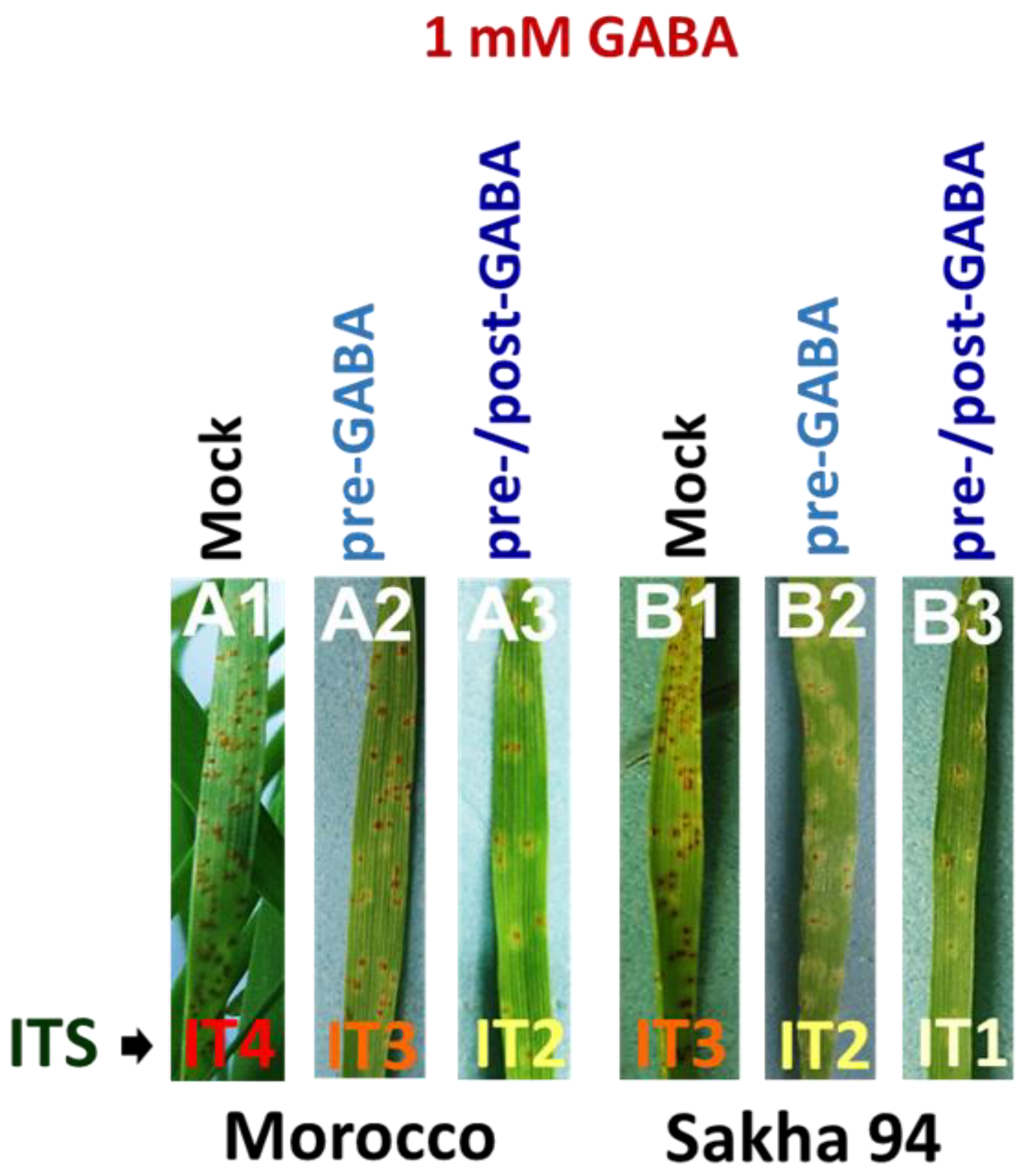 Plants 13 02792 g001